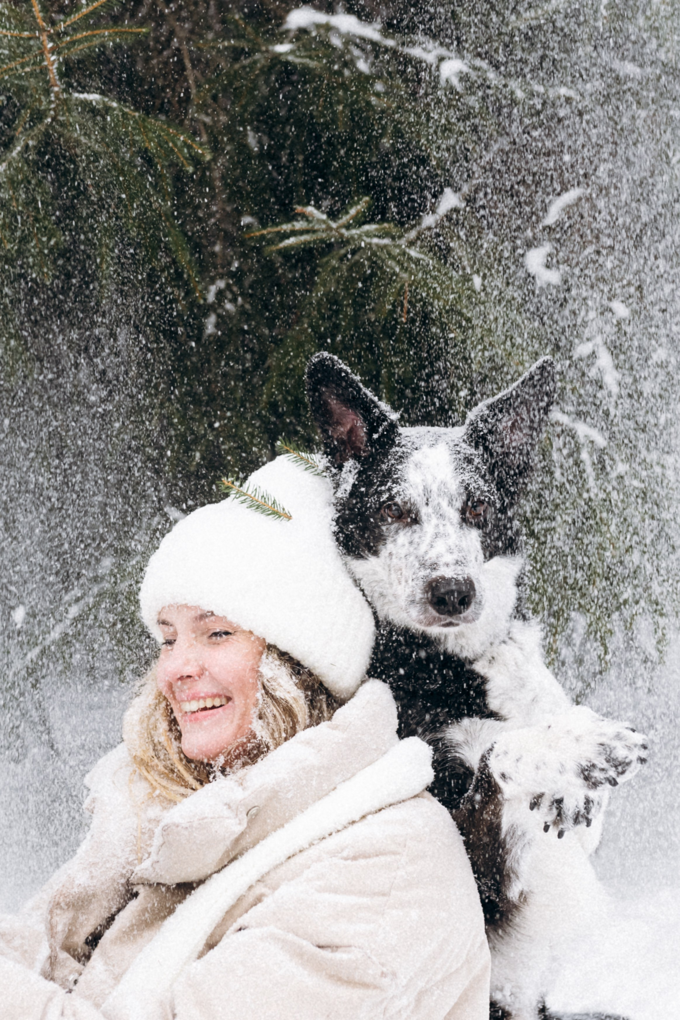 Аня и Милан. Фотограф анималист в Москве Ольга Агушева