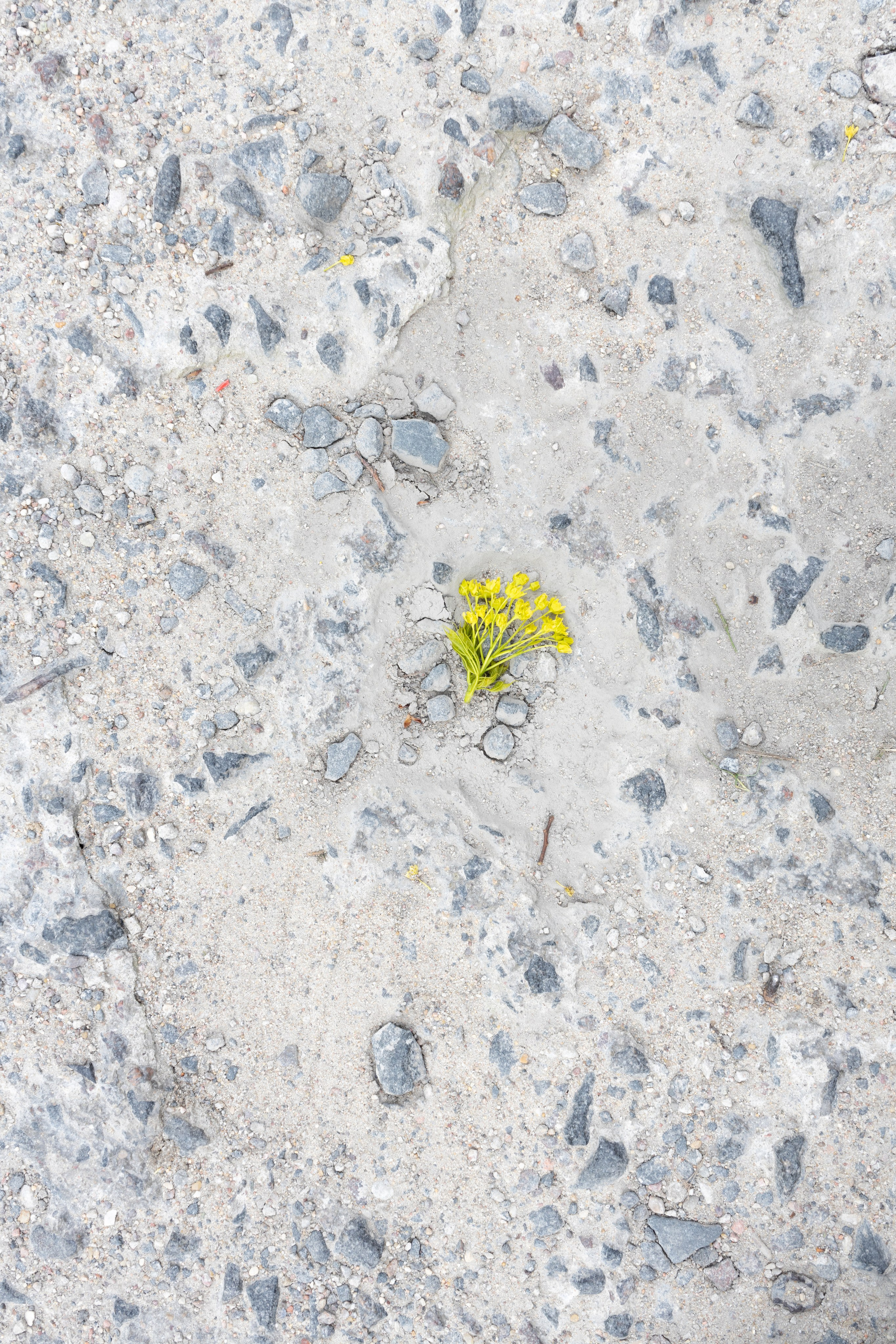 Около меня. Documentary photographer Anton Zdanovich