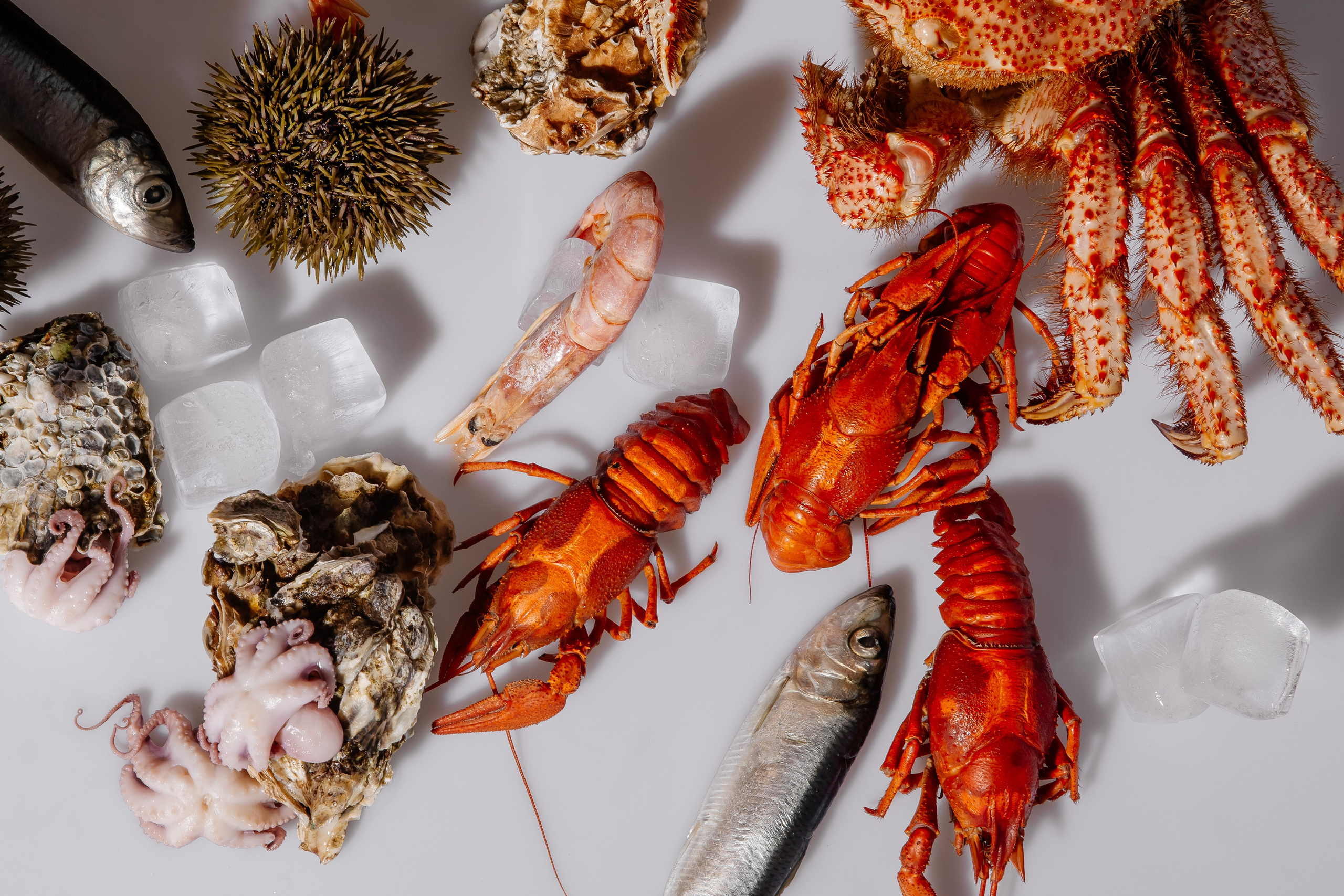 Splash.sea. Профессиональный фотограф Инесса Новикова в Москве