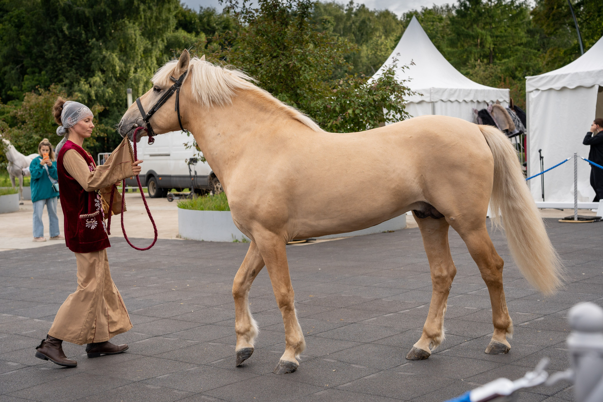 Животные. Фото, видео, монтаж