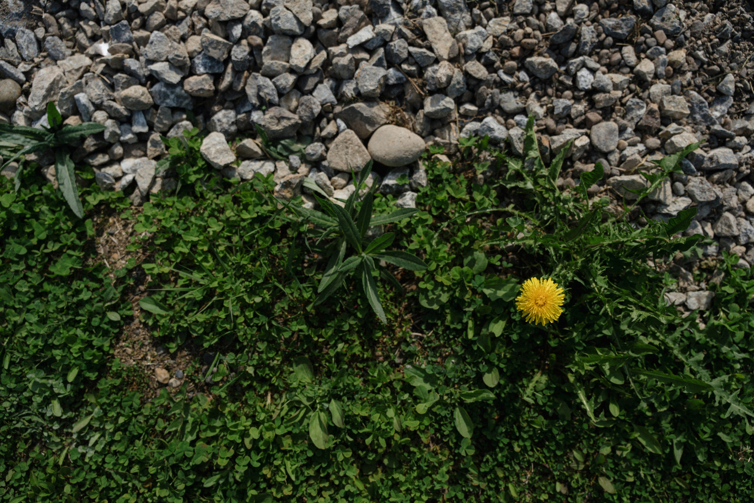23/05/2025. Фотограф Томск, Новосибирск Влад Свириденко