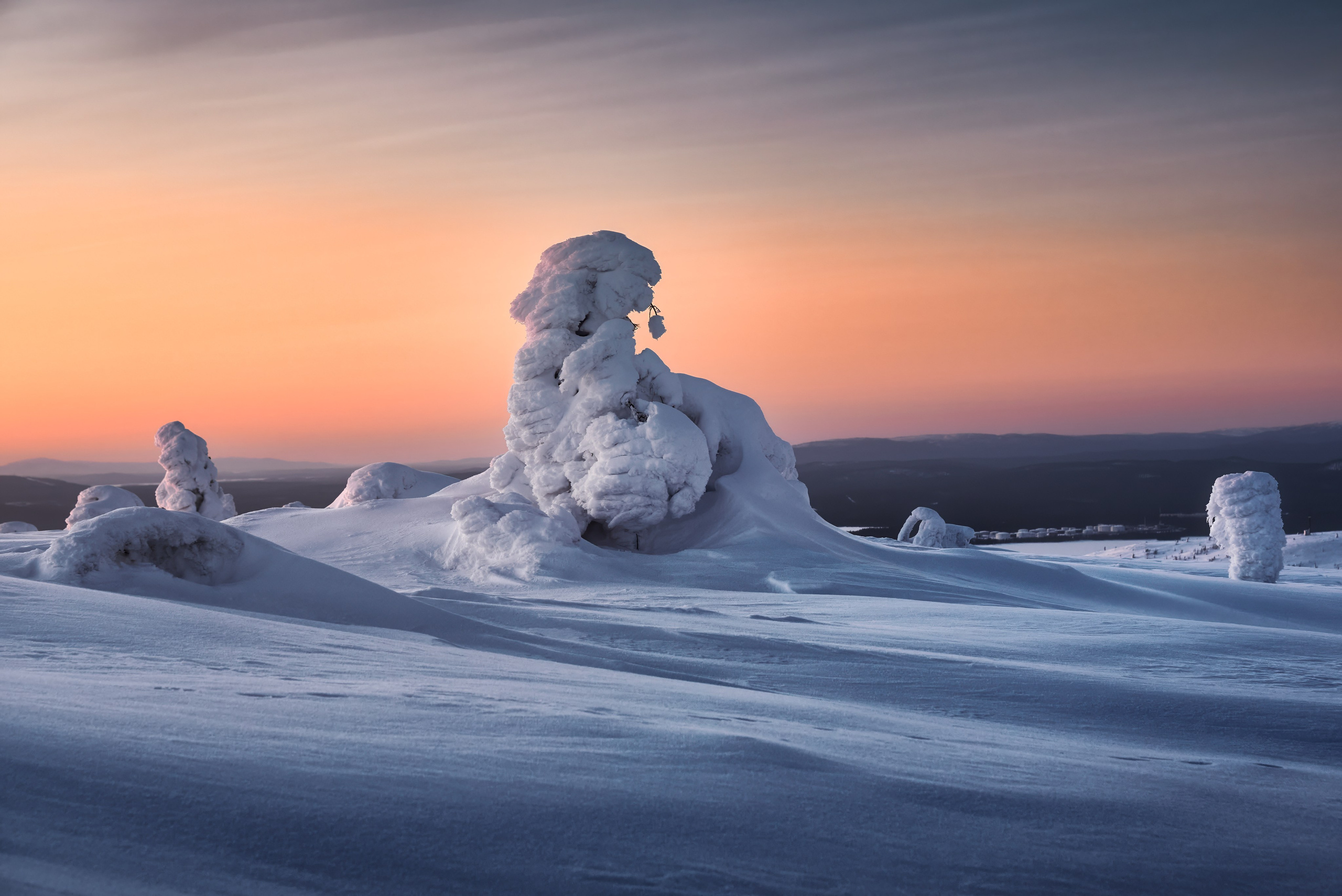 На склонах Волосяной сопки. Мурманская область, Кандалакша