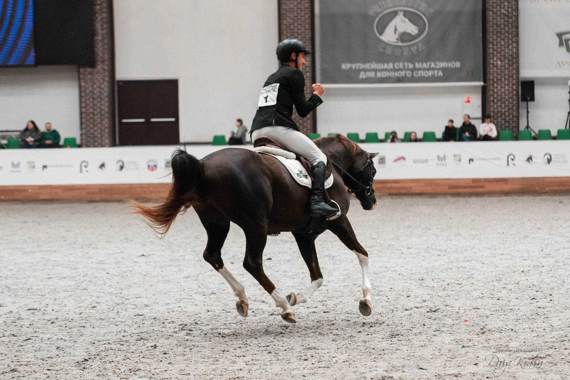 8-я международная выставка Конная Россия. Конный фотограф Куракина Дарья • Фотосессии с лошадьми