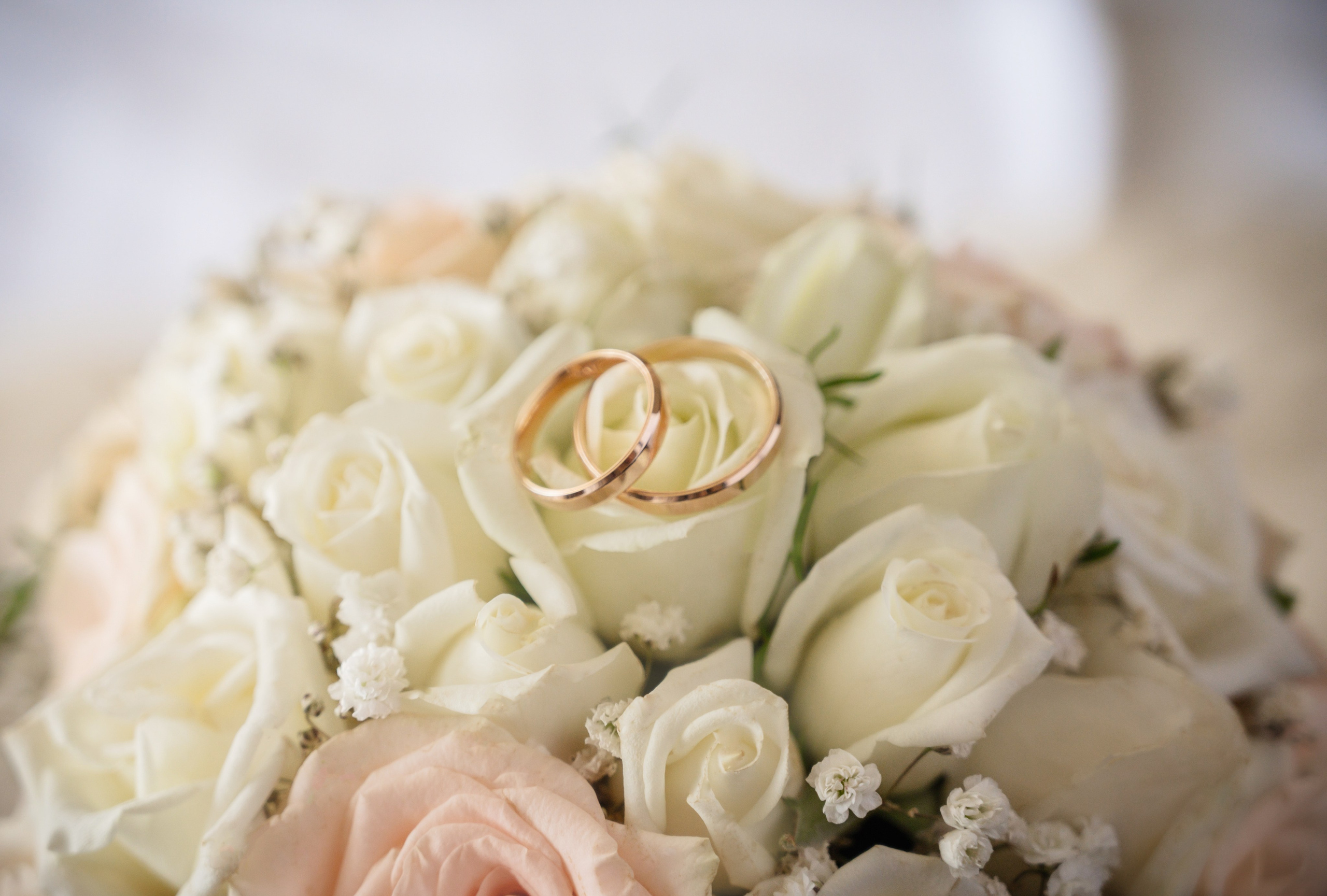 Свадьба лето. Свадебный фотограф и видеограф в городе Армавир Katerina Arts