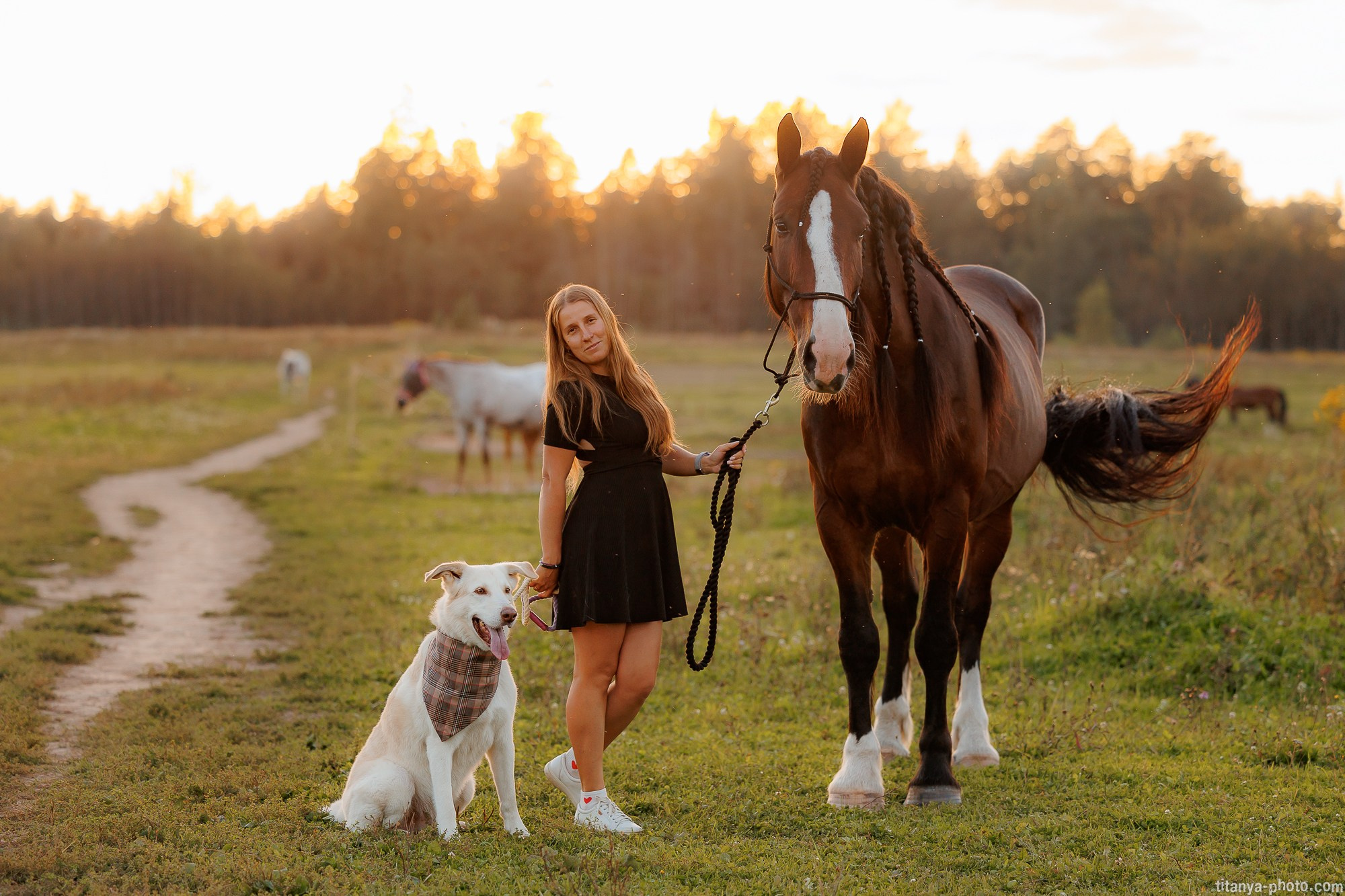 Закатная семейная фотосессия: про Настю и её дружную семью. Фотограф собак, фотограф-анималист Аня Титова (Titanya). Москва