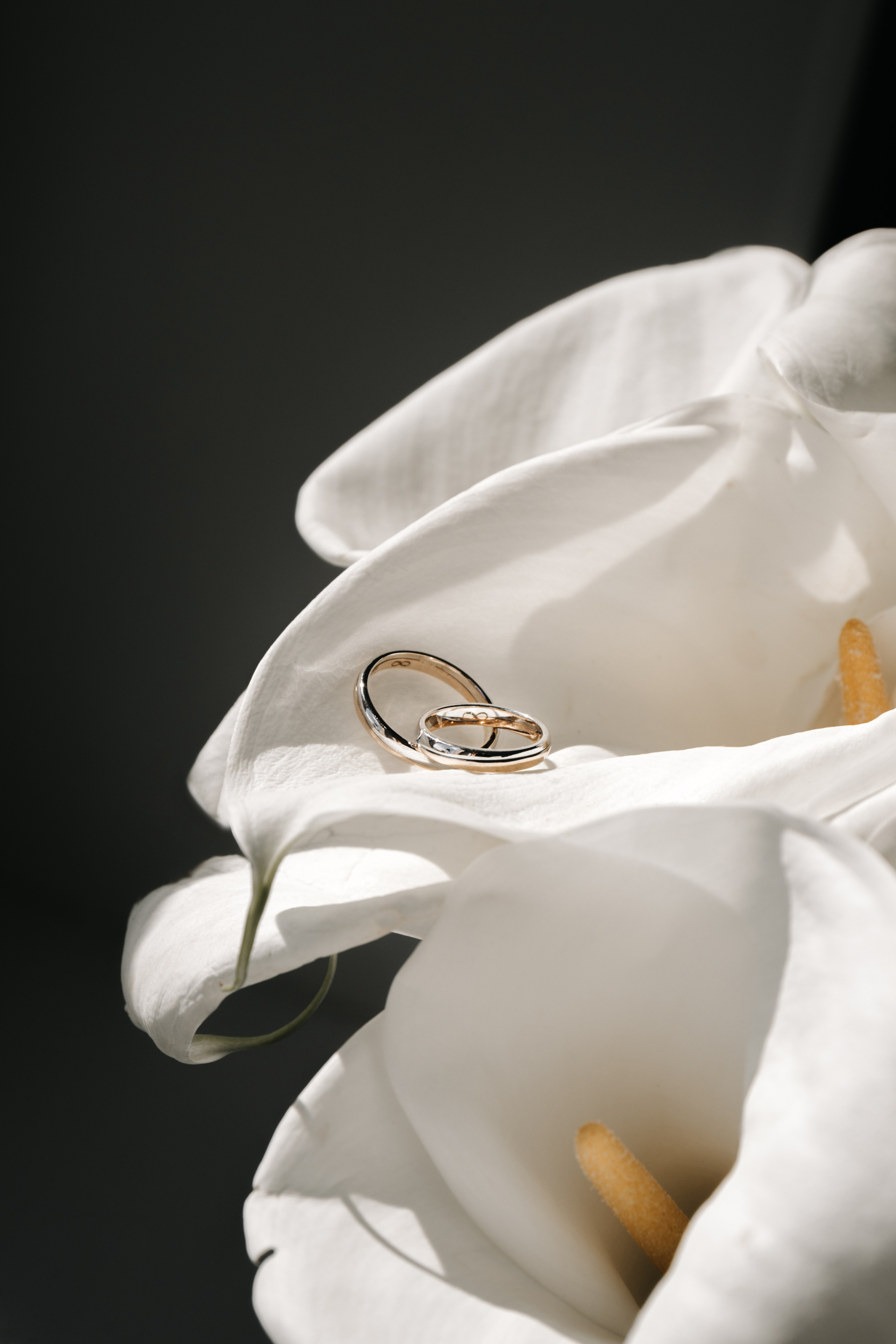 Павел и Екатерина. Laterina Фотограф Москва