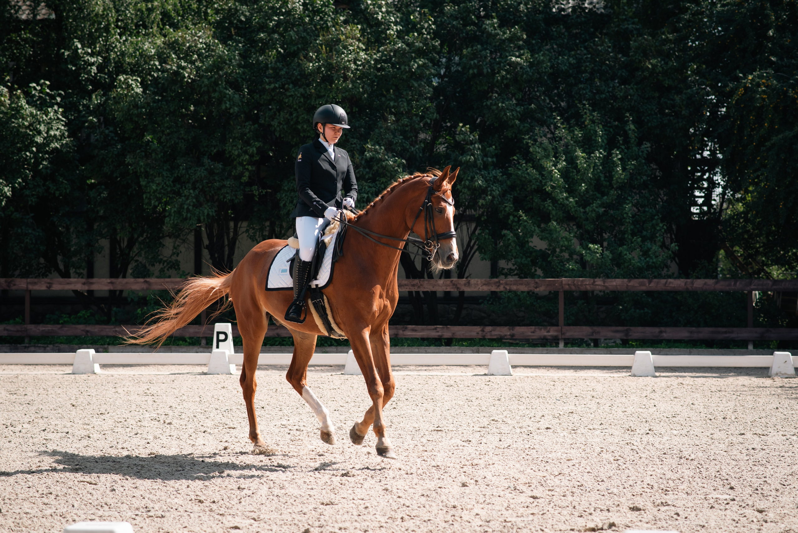 Выездка 10.08.25. Фотограф, визажист. Москва