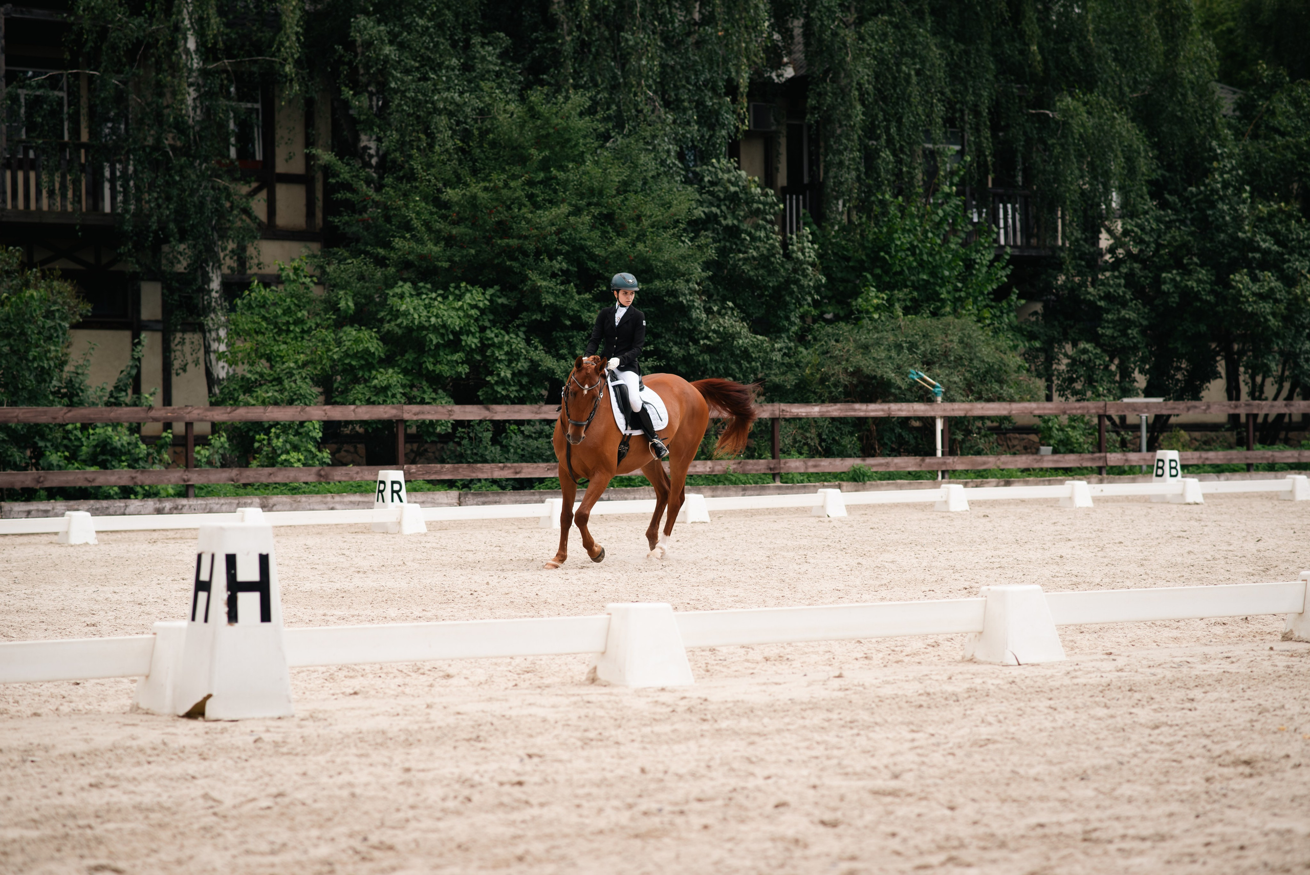 Выездка 10.08.25. Фотограф, визажист. Москва