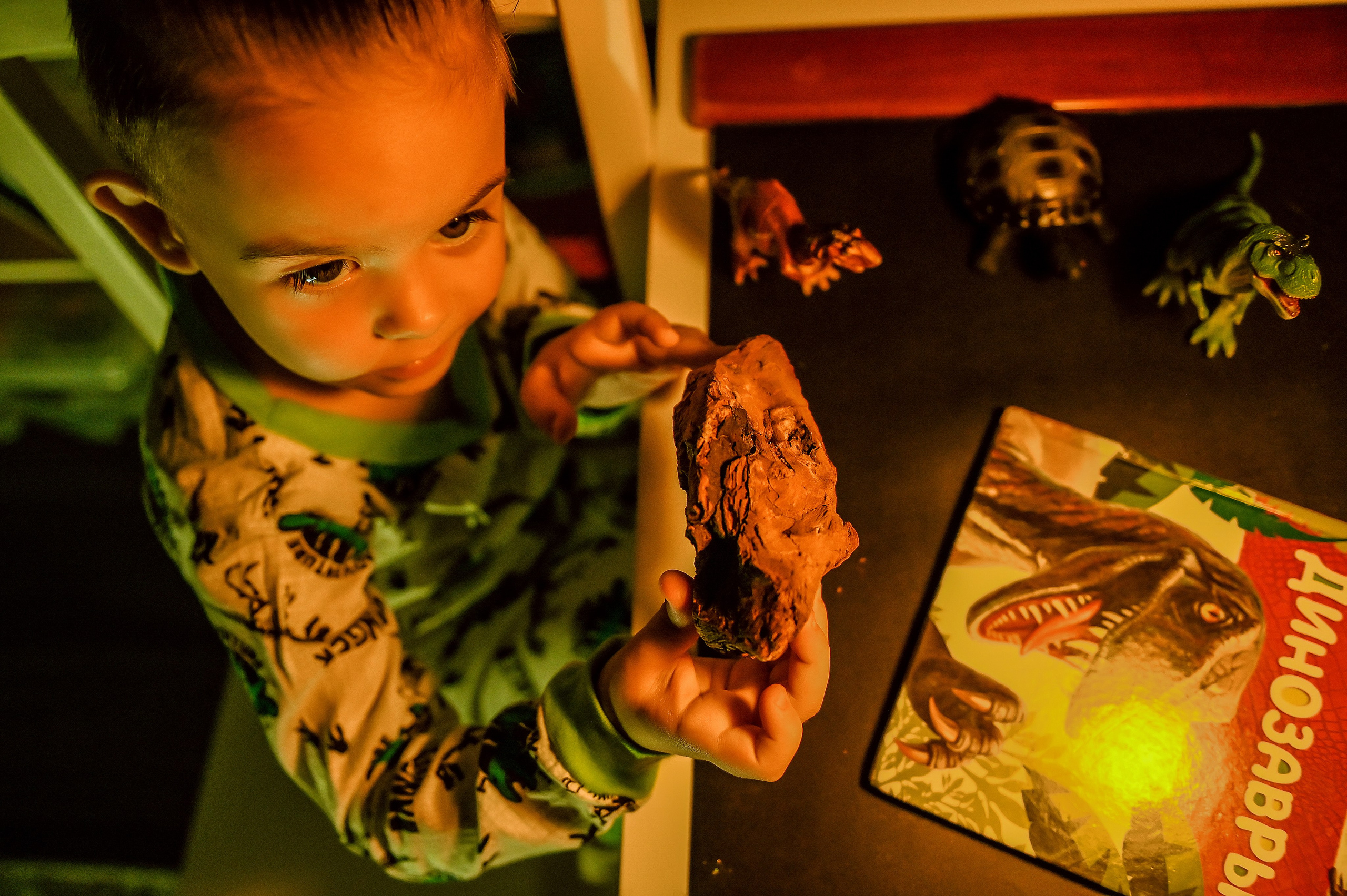 Детская домашняя кабинет натуралиста. Свадебный, семейный, детский, контент фотограф в Омске Максим Ильин