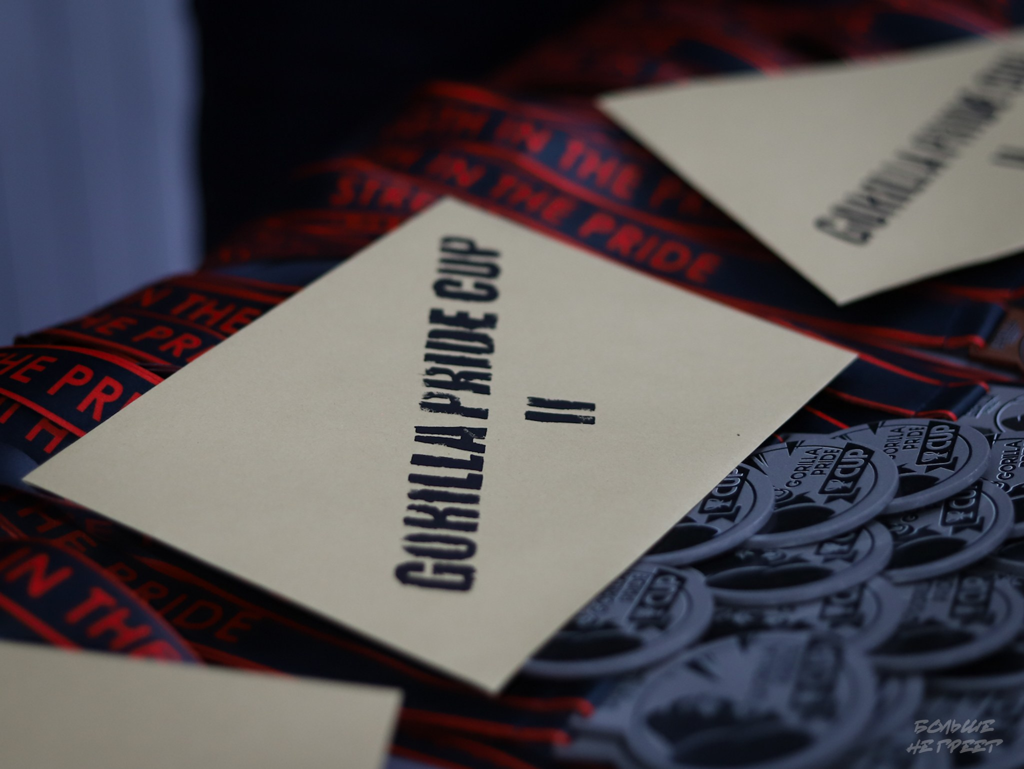 GORILLA PRIDE CUP. Больше не греет