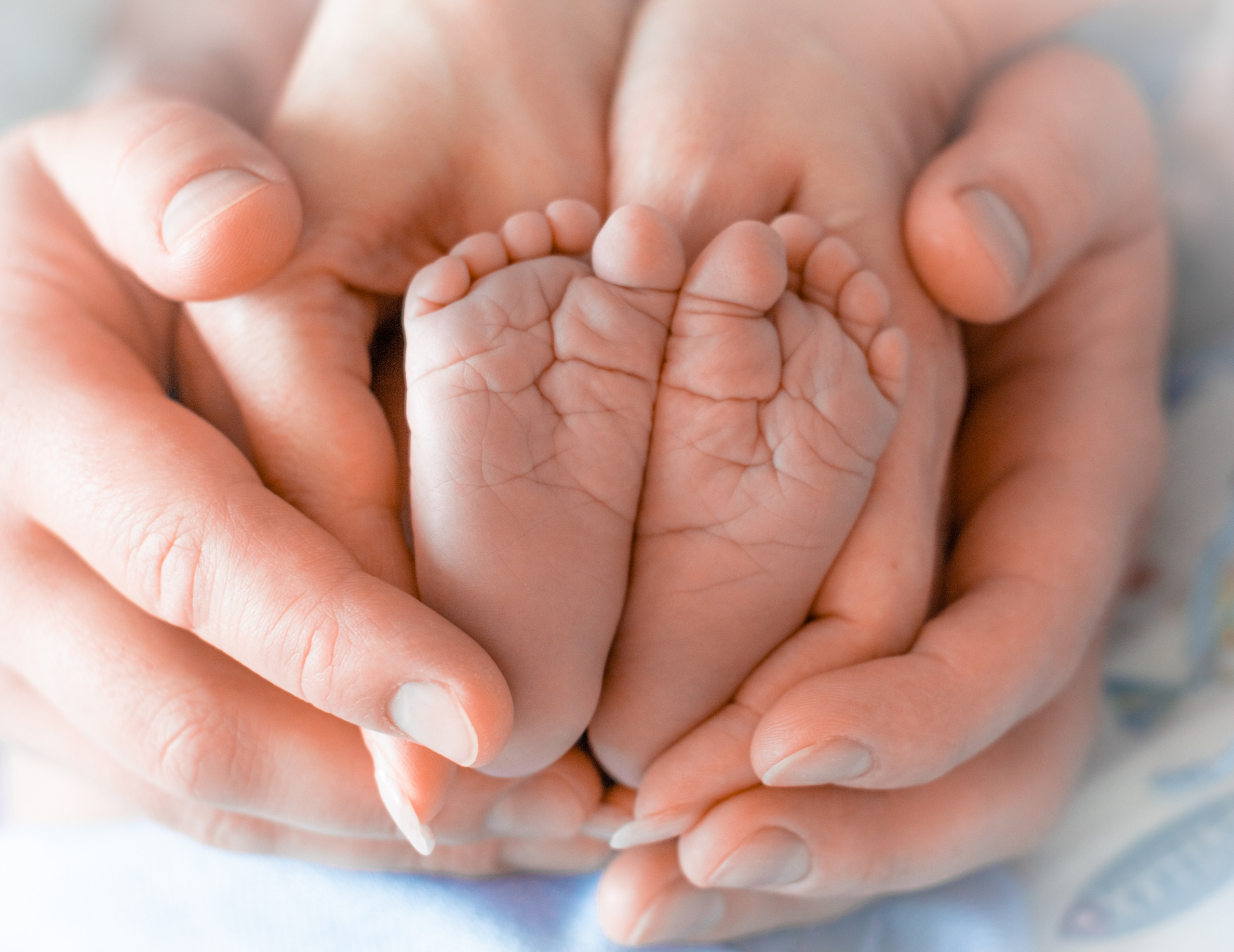 Художественная фотография. Предметная фотосъемка в г. Екатеринбурге