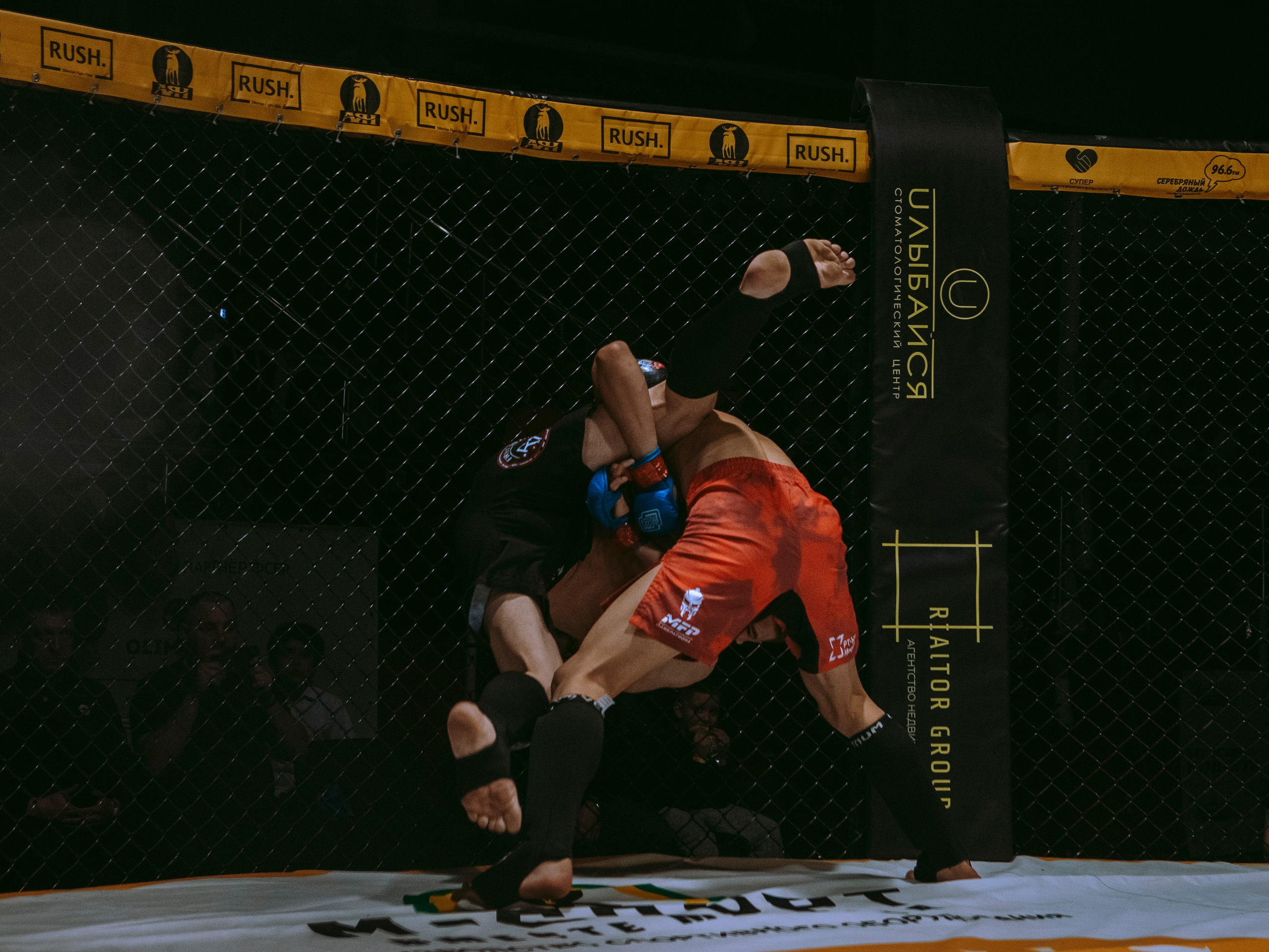 SFL 17 | Siberian Fighting League. Портретный фотограф в Москве Дарья Цезария