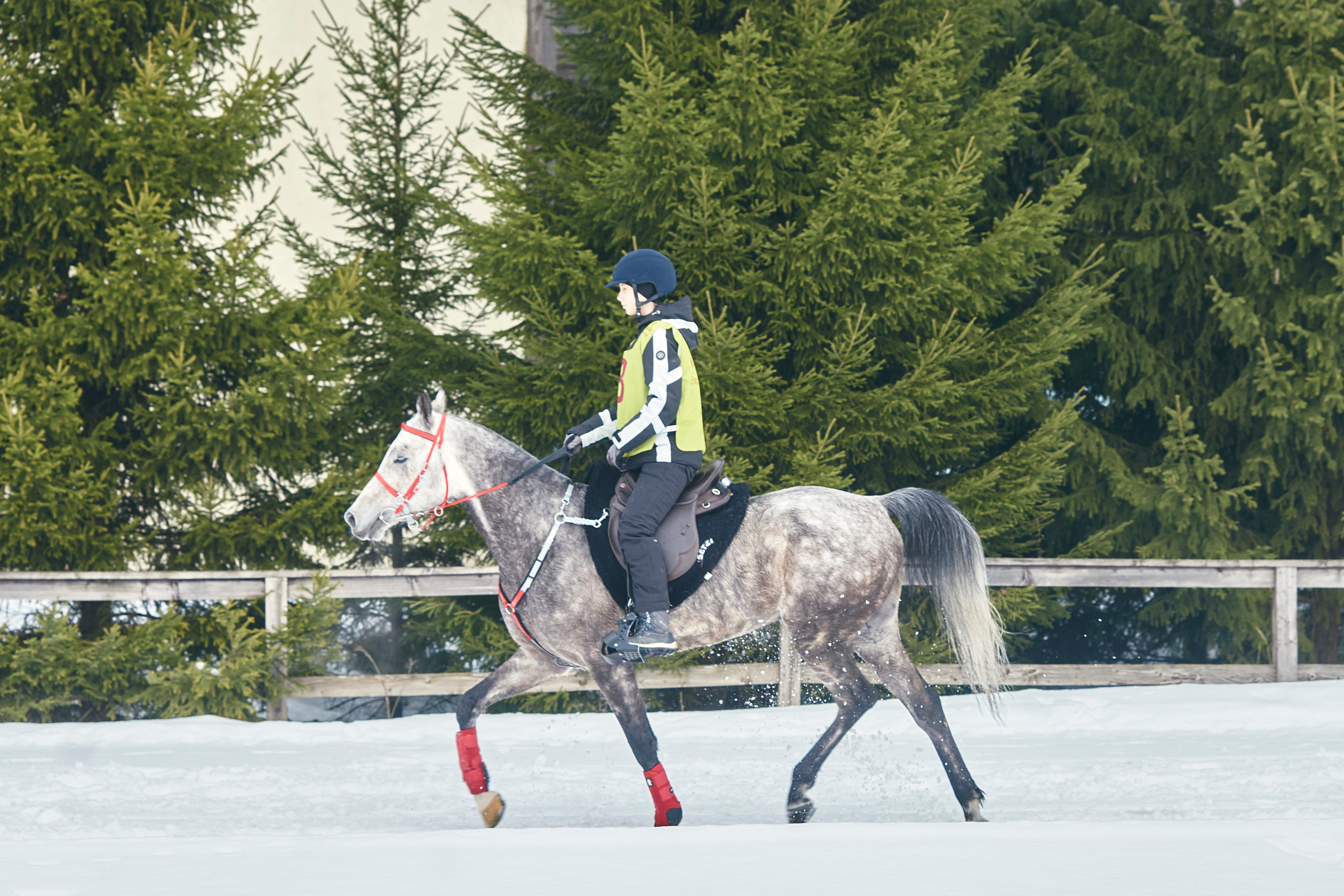 HORSE RACING. Фотограф Наталья Леонова