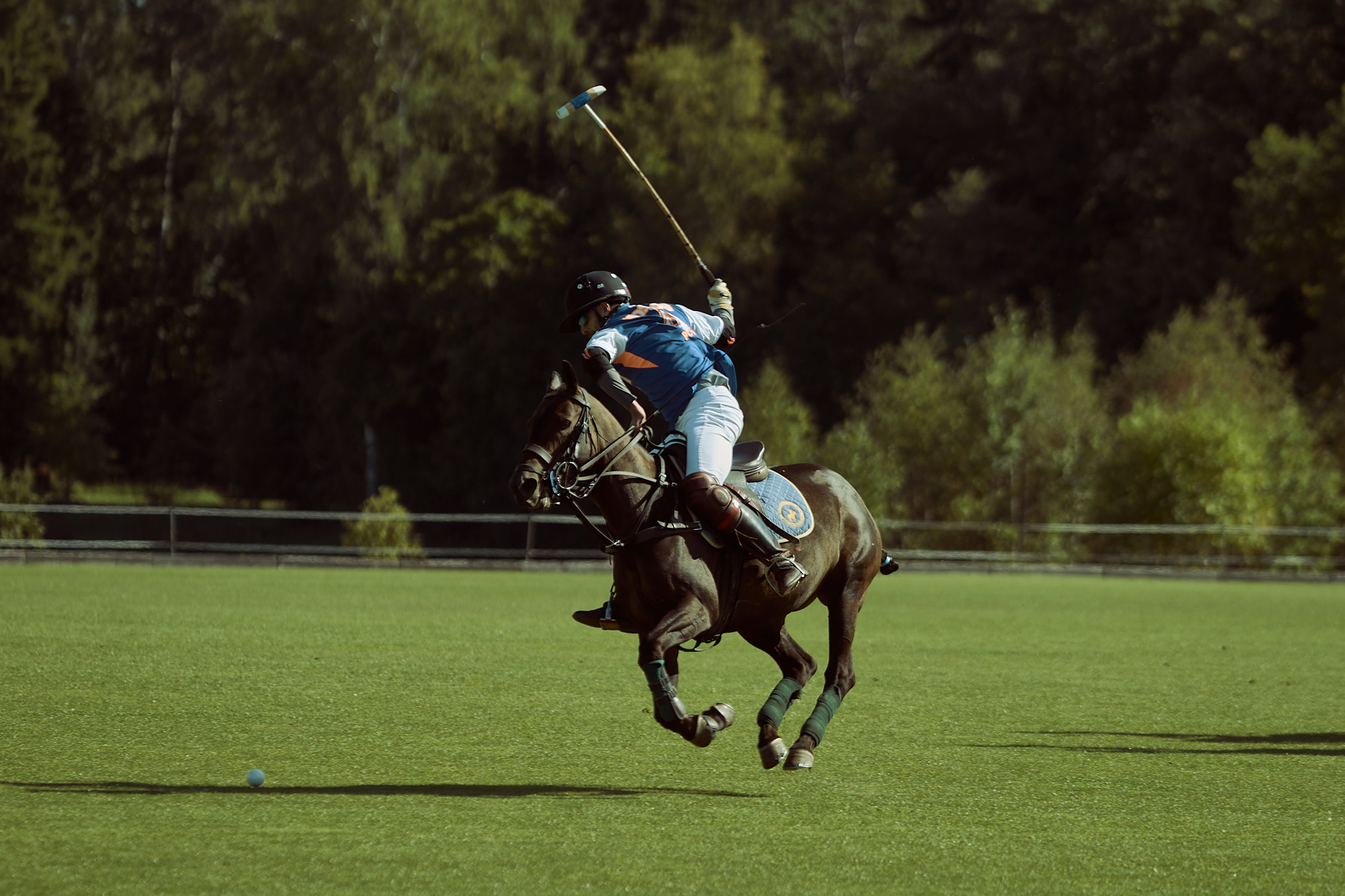 HORSE POLO. Фотограф Наталья Леонова
