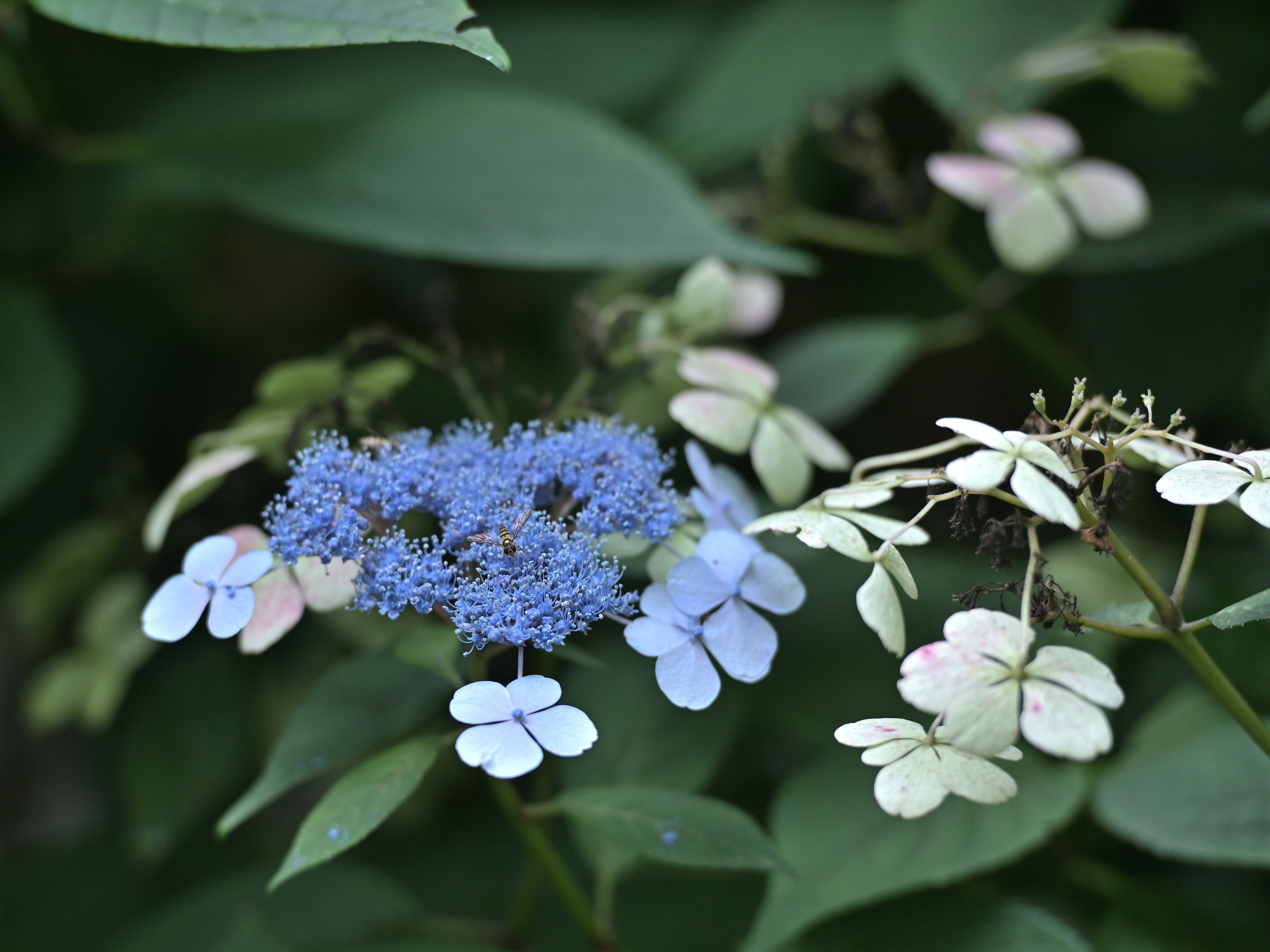 Сергей Люльченко фотоальбом