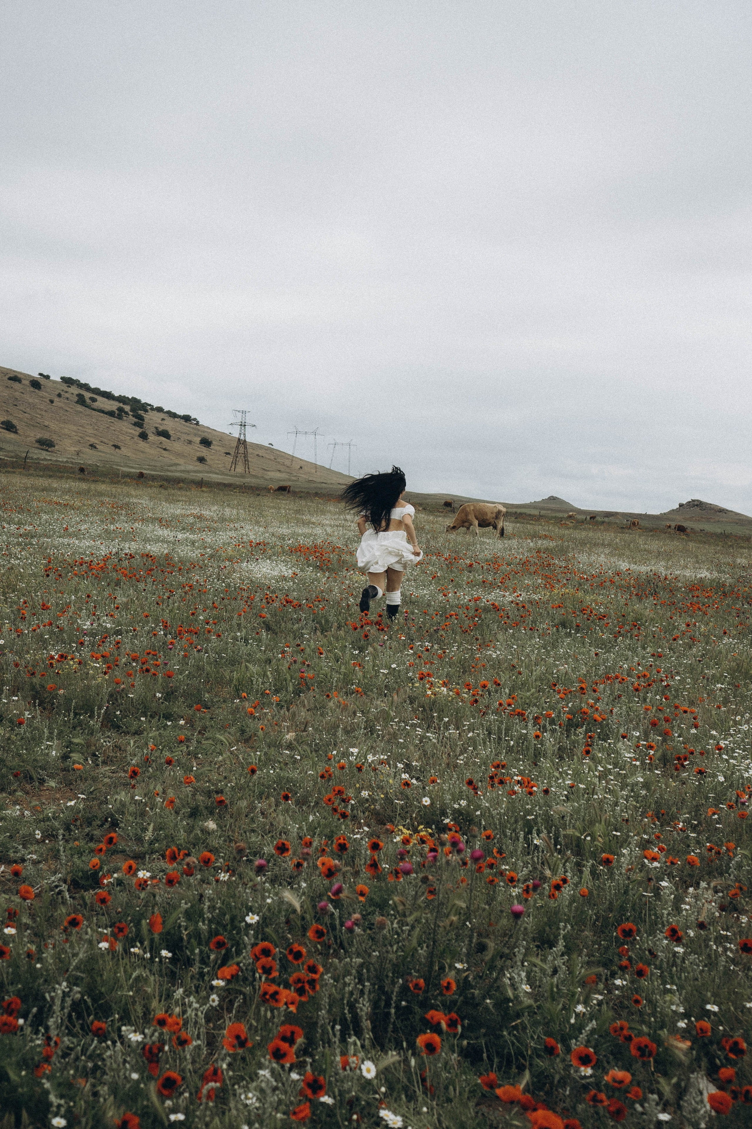 Маковое поле. Профессиональный фотограф, Санкт-Петербург — Виктория Богомолова