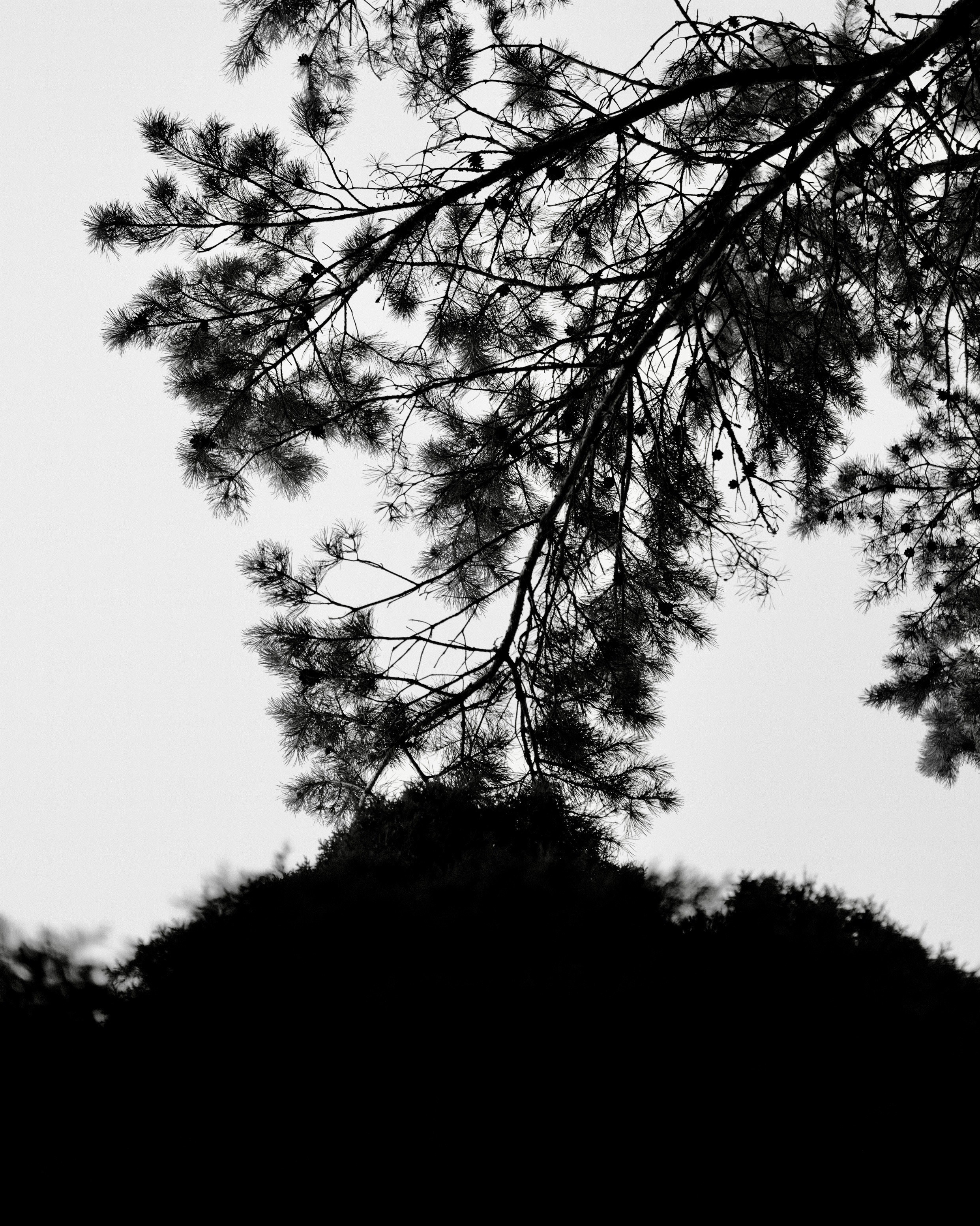 Природа. Фотограф Маргана Лоция