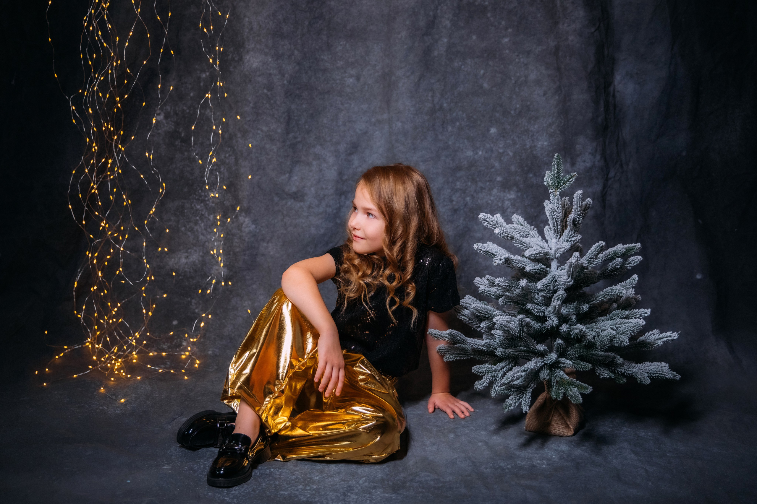 НОВЫЙ 2024 ГОД. Женский и семейный фотограф Елена Петрова