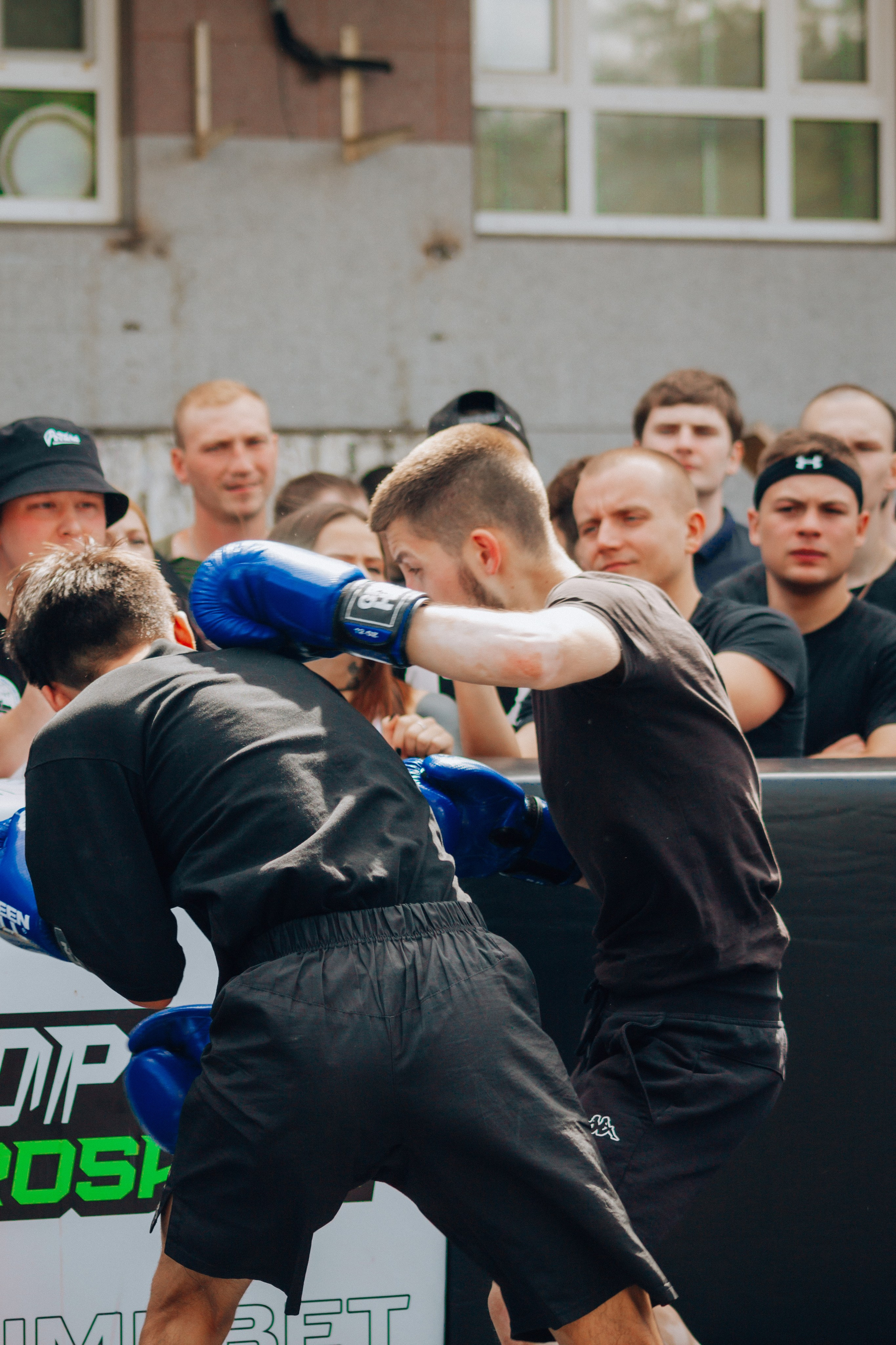 Открытый ринг. Анастасия Тен