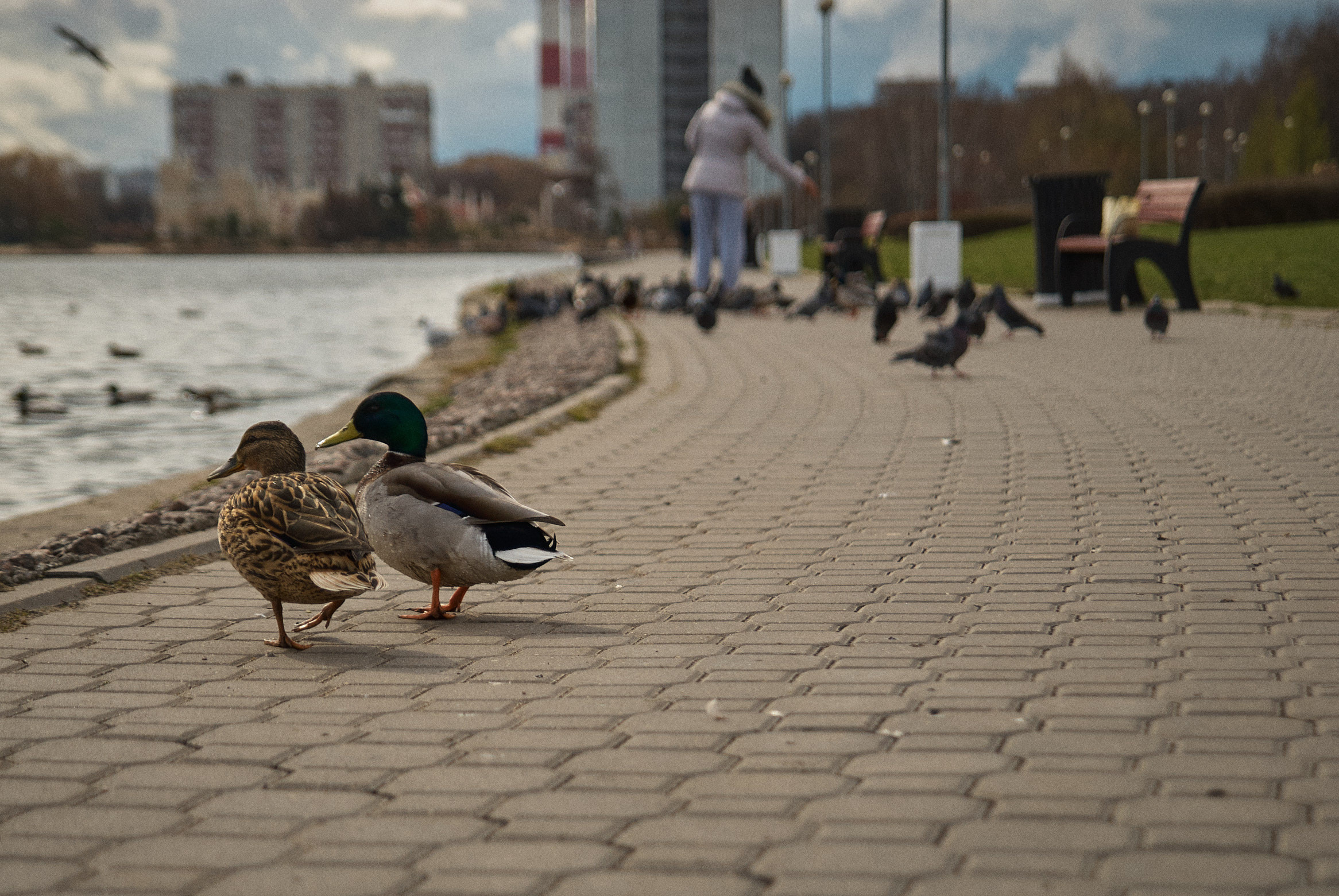 Москва. 2020. Коммерческий фотограф Тарасов Дмитрий
