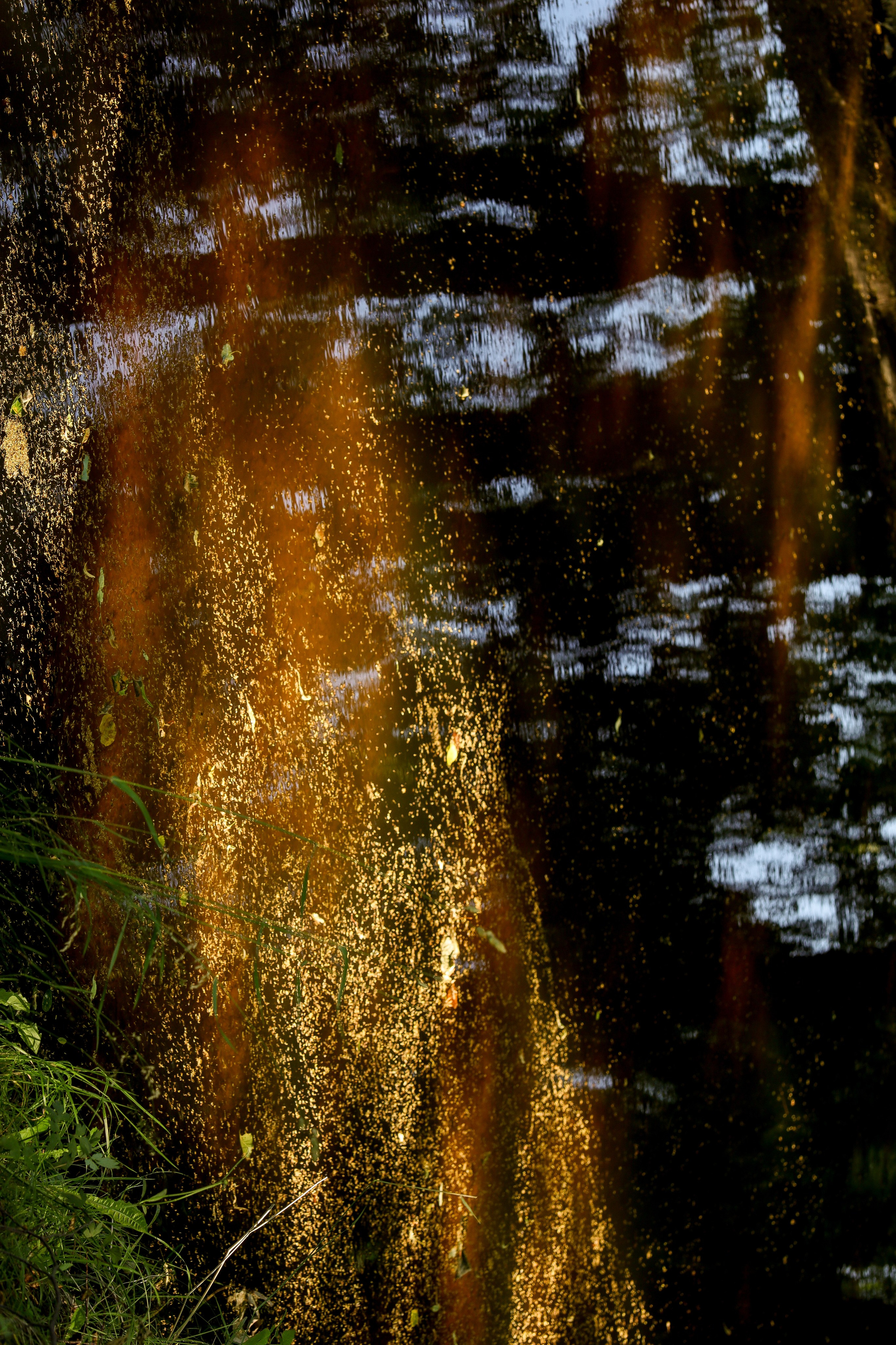 Природа &. Фотохудожник в СПб