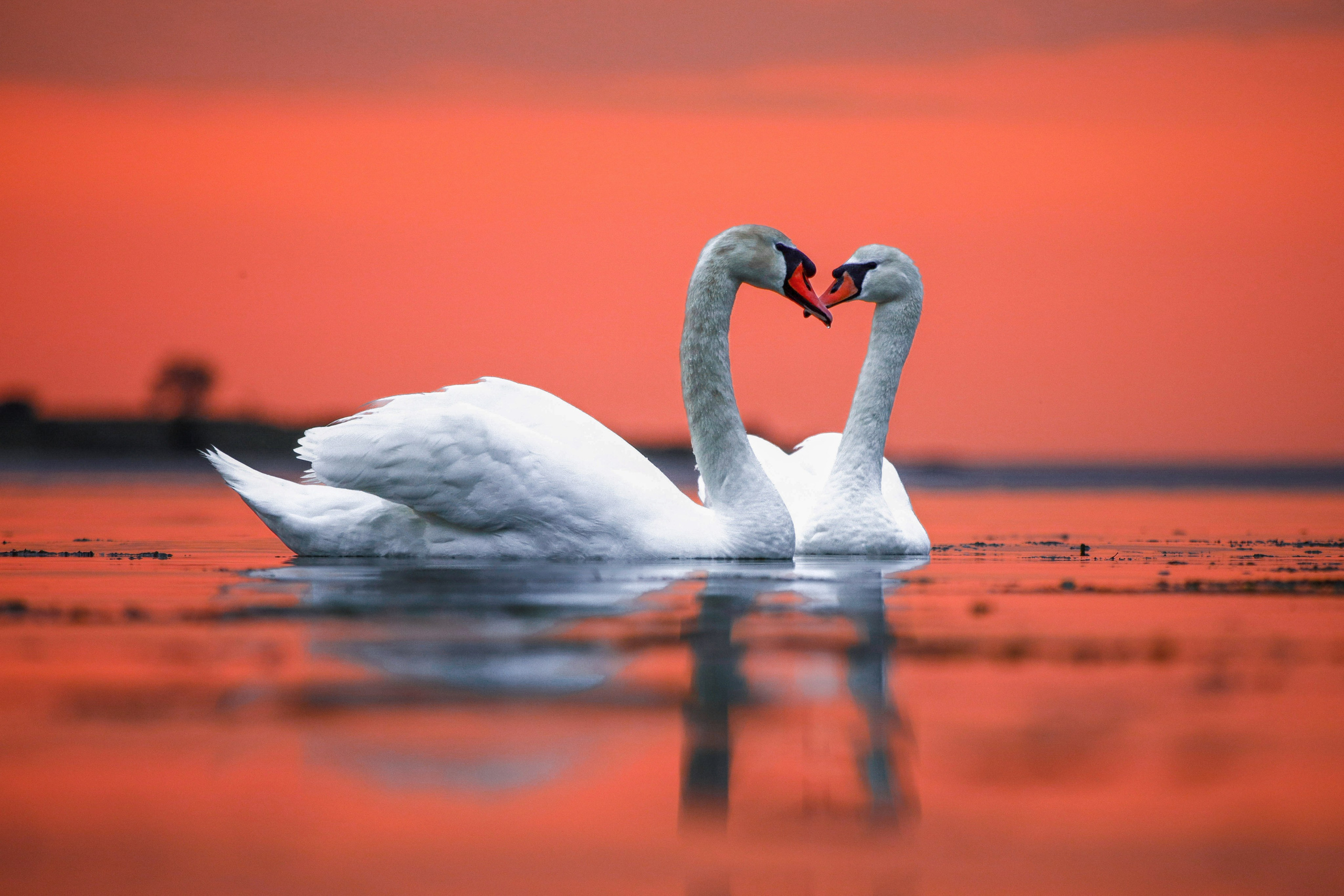 Природа. Глеб Захаренко — спортивный и репортажный фотограф в Крыму