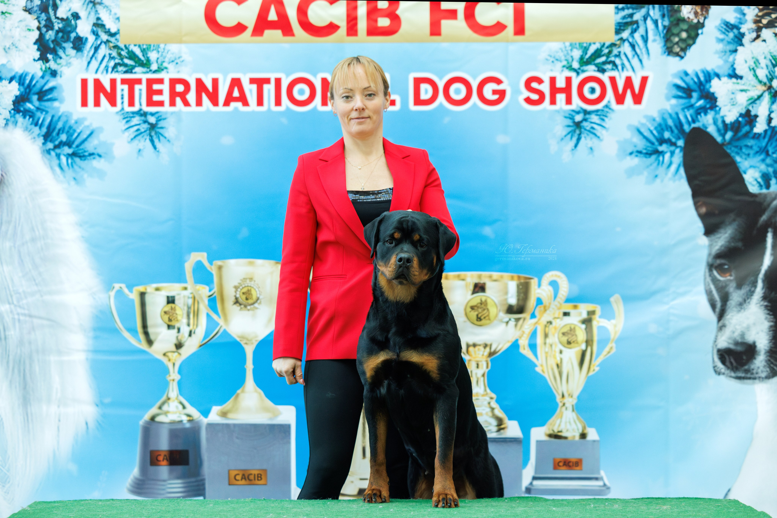 Минск 23.11.2024. Фотограф-анималист Юлия Германика