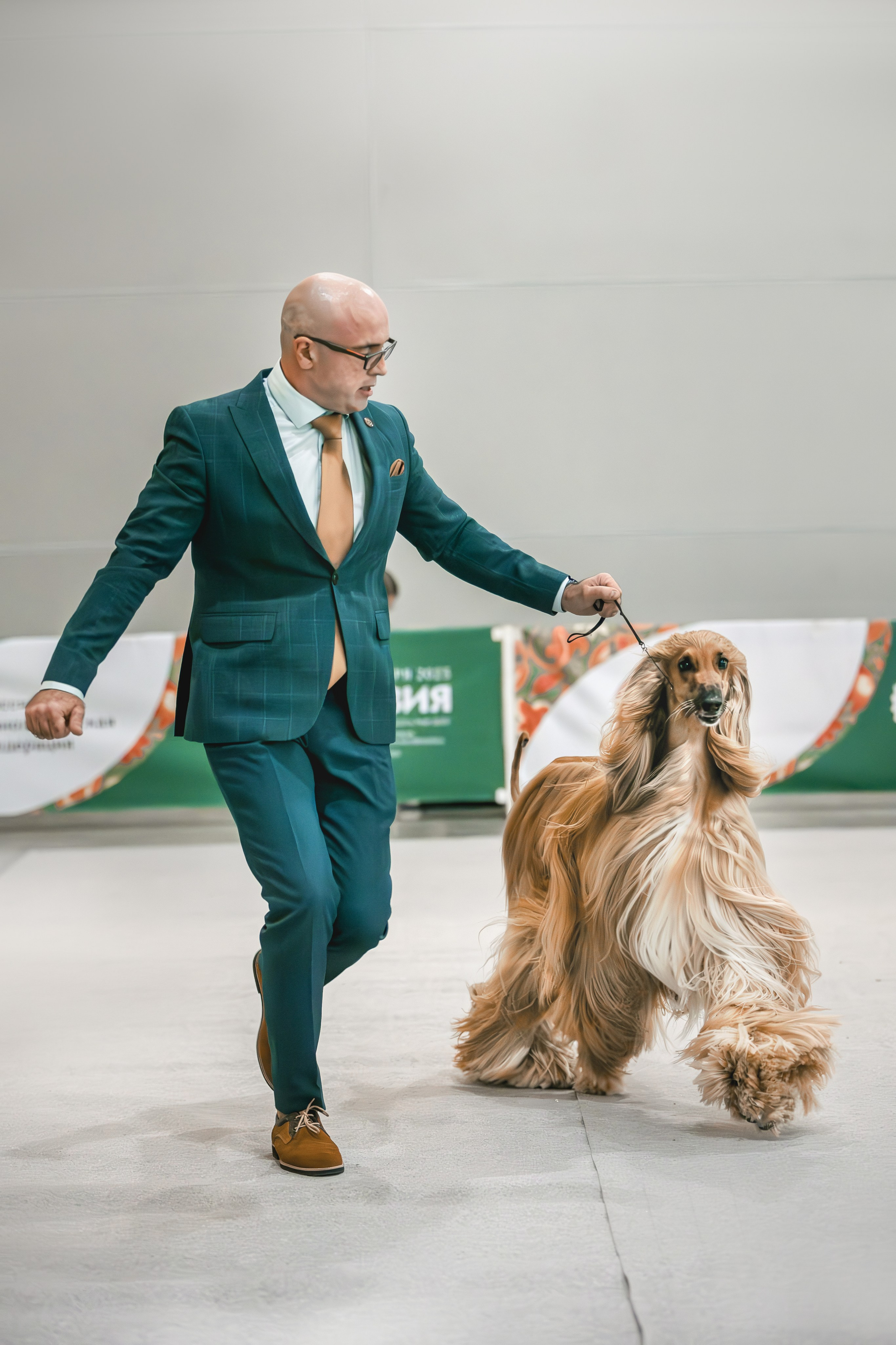 Выставки. Фотограф анималист в Москве Майорова Евгения