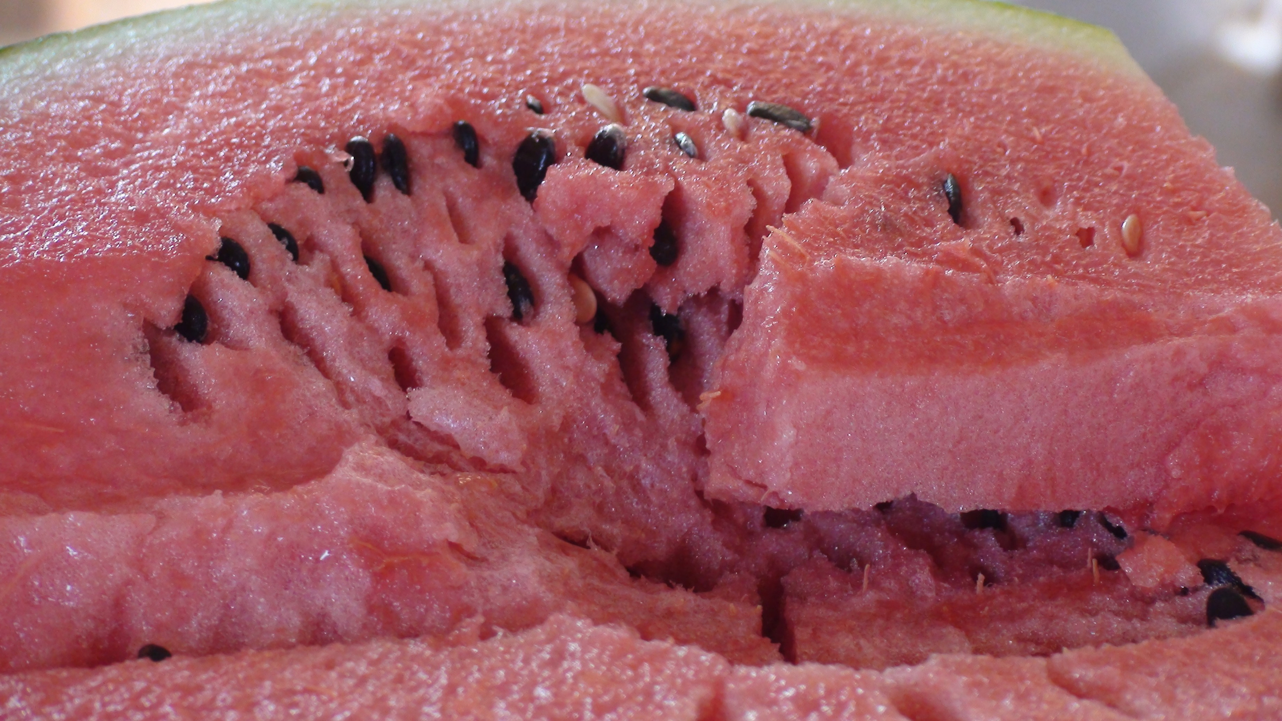 Кабардинка 05-19.07.2013. Семейный, Свадебный фотограф СПБ Питер— Романова Екатерина