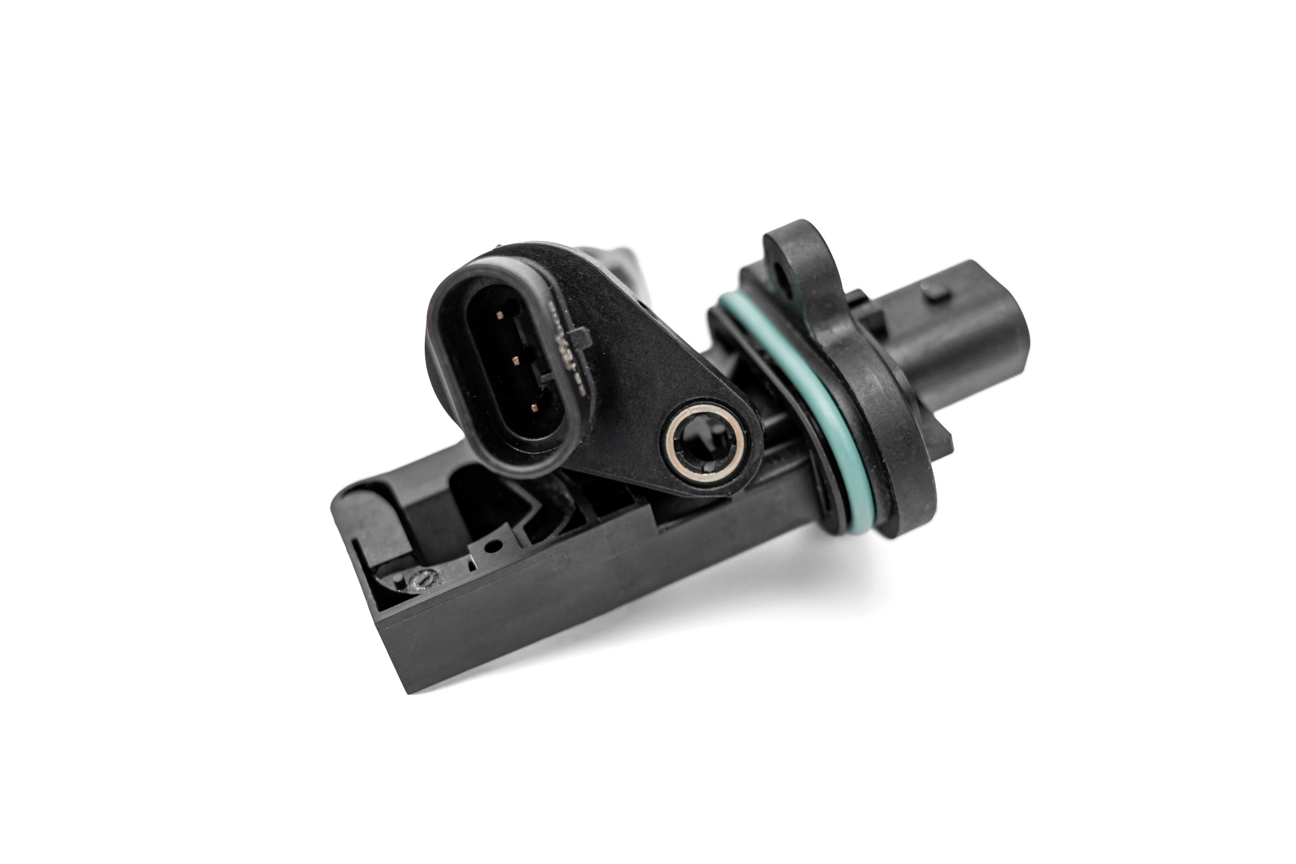 ФОТО. Фотограф Алина Гашникова