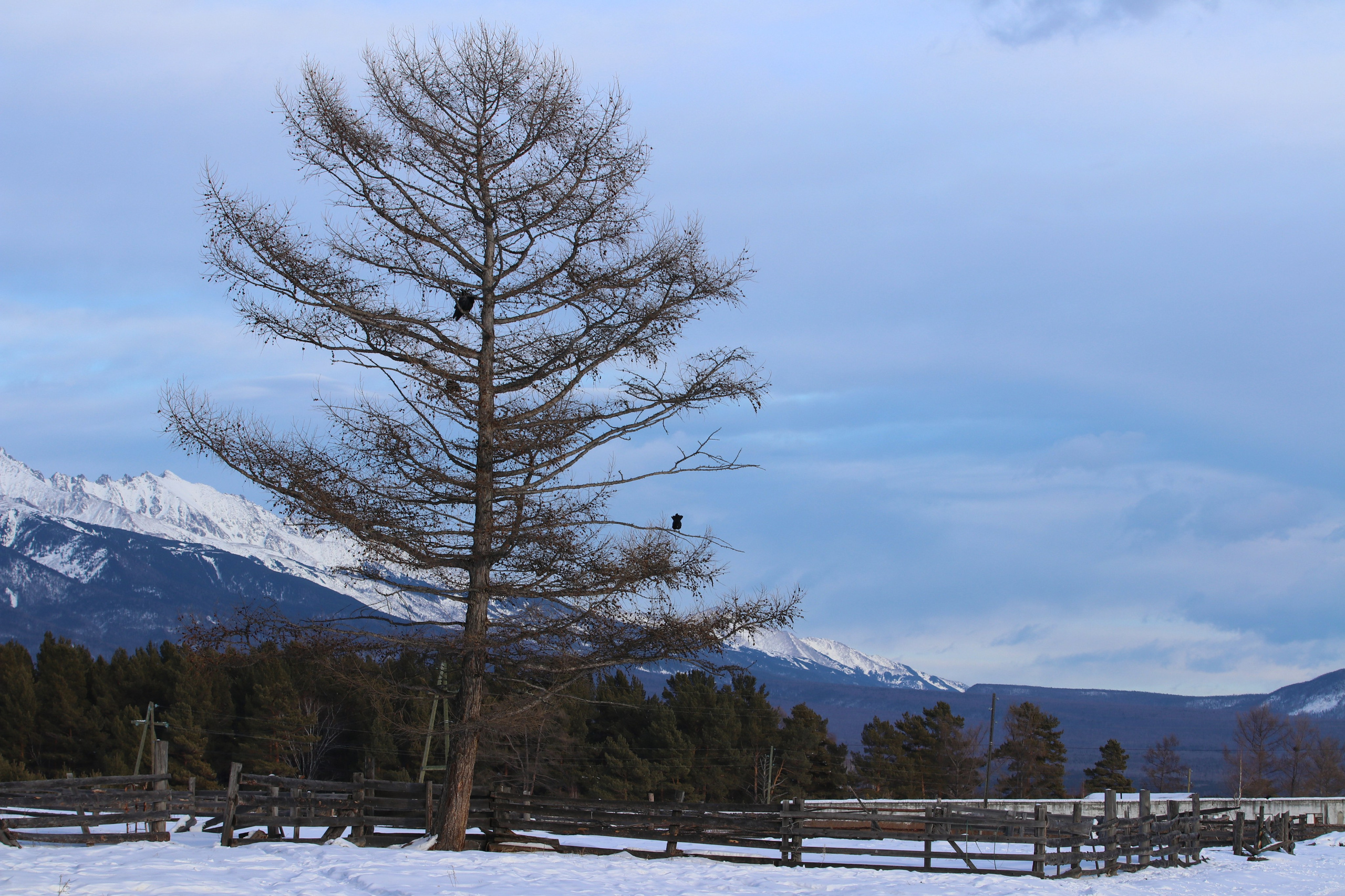 Аршан. Февраль 2025. Путешественник-фотограф из Санкт-Петербурга Татьяна Свистулина