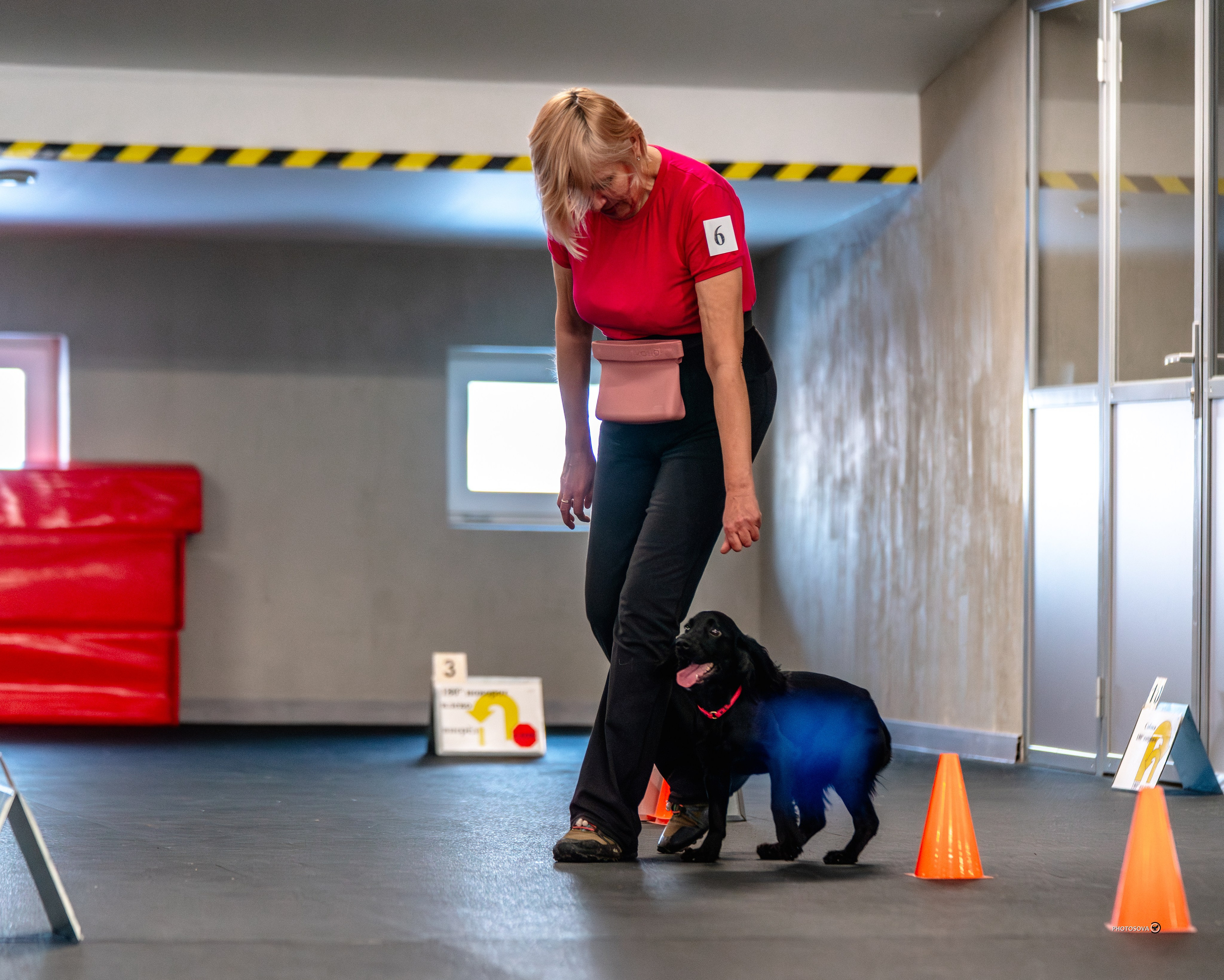 ТЫ И Я (соревнования по ралли-обидиенс). Фотограф-анималист, семейный фотограф в Москве и Подмосковье. Фотосъёмка кинологических дисциплин