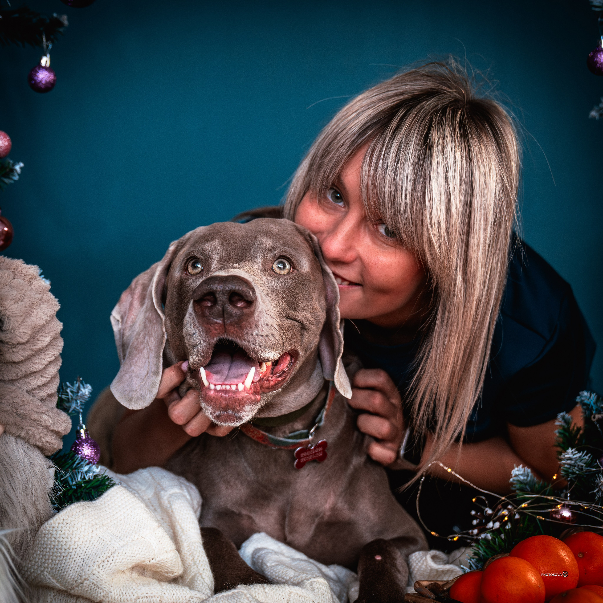 ФОТОПАМЯТЬ ВАШИХ ЭМОЦИЙ. Фотограф-анималист, семейный фотограф в Москве и Подмосковье. Фотосъёмка кинологических дисциплин