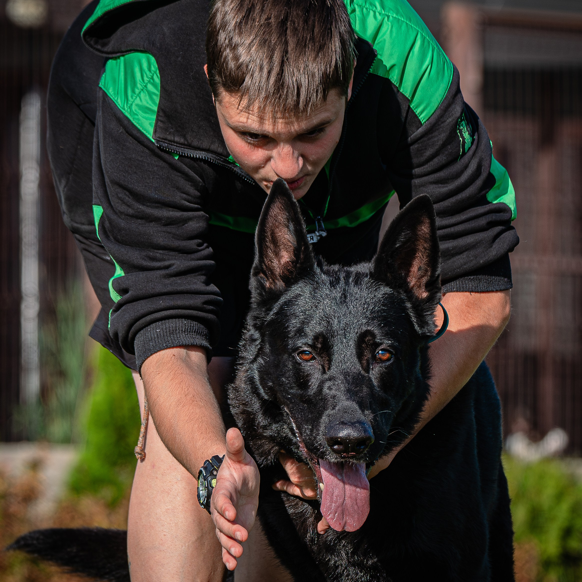 Ваш путь к ПОБЕДЕ (ТРЕНИРОВКИ). Фотограф-анималист, семейный фотограф в Москве и Подмосковье. Фотосъёмка кинологических дисциплин