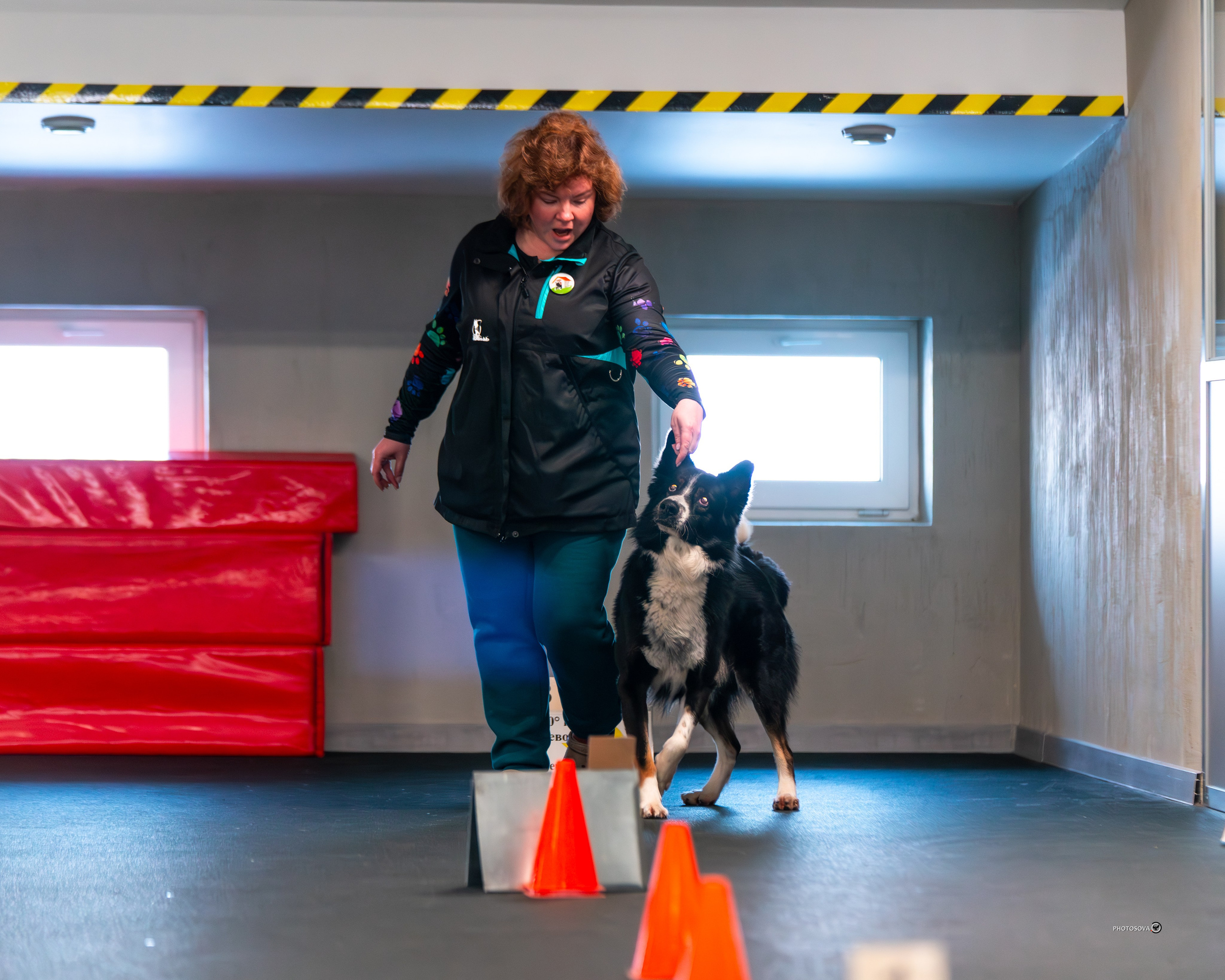 ТЫ И Я (соревнования по ралли-обидиенс). Фотограф-анималист, семейный фотограф в Москве и Подмосковье. Фотосъёмка кинологических дисциплин