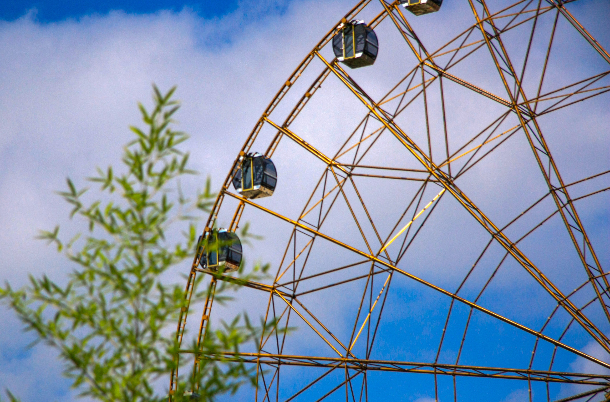 Первые кадры. Сочи — парк. Фотограф Роман Адлер