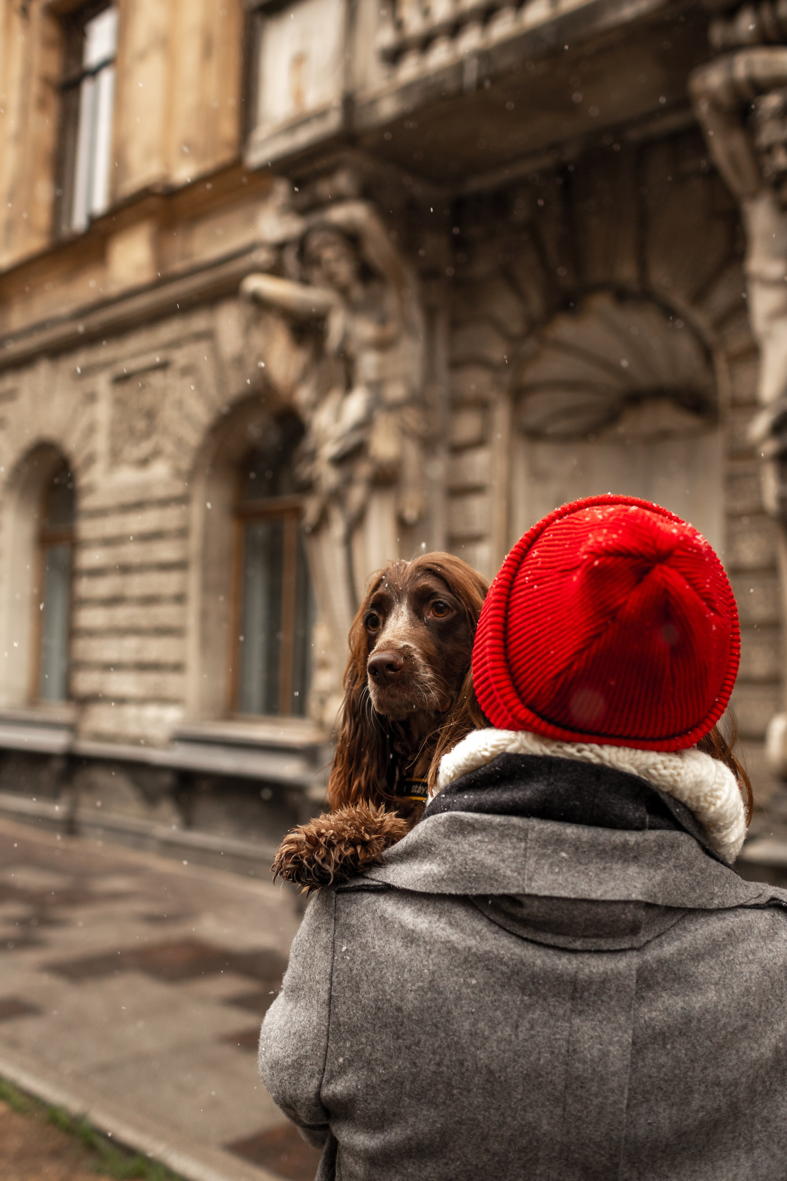 Фотопрогулка с собакой. Свадебный фотограф Кирилл Белый