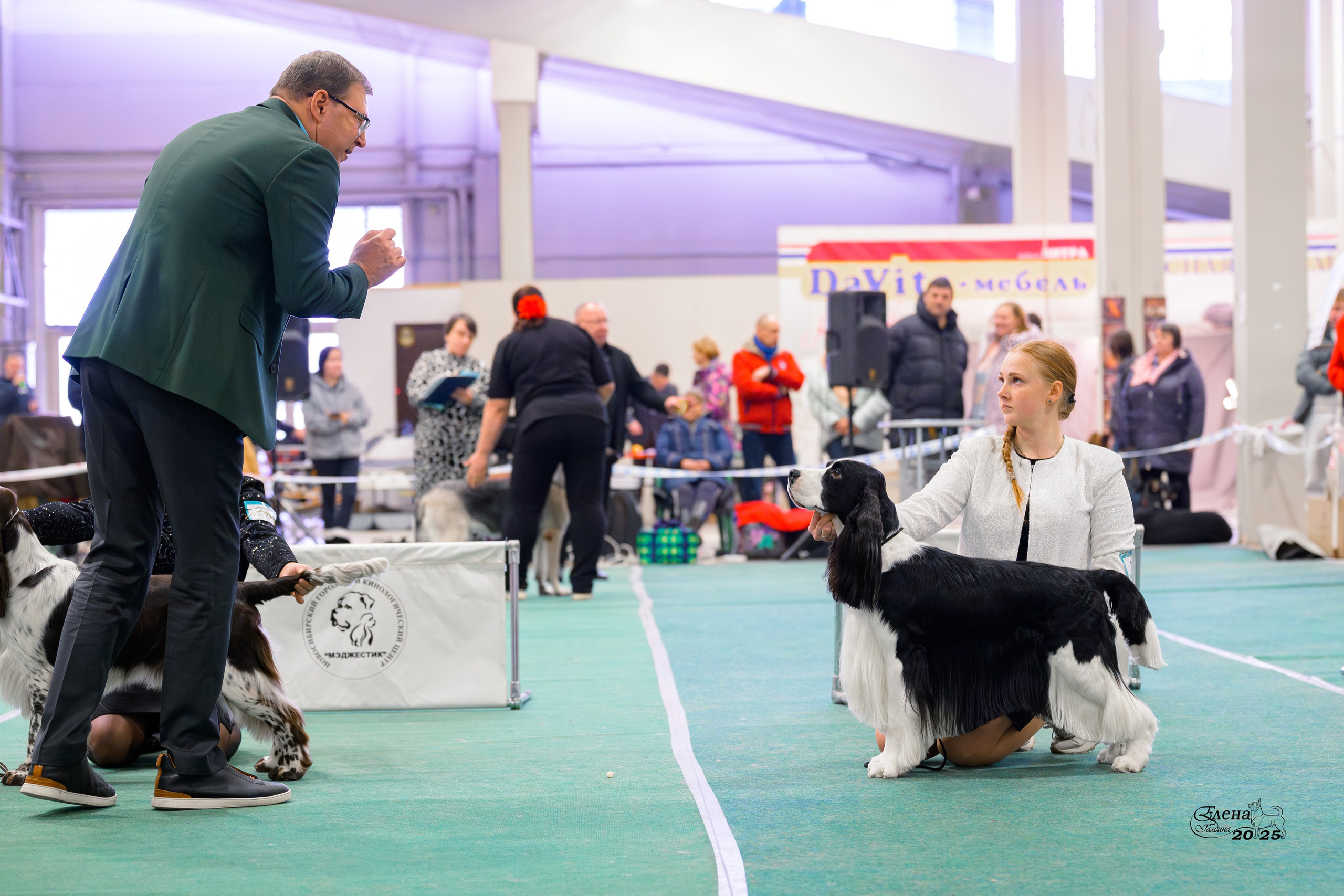 6-7.12.2025 г.Новосибирск. Фотограф анималист Елена Галдина г. Красноярск