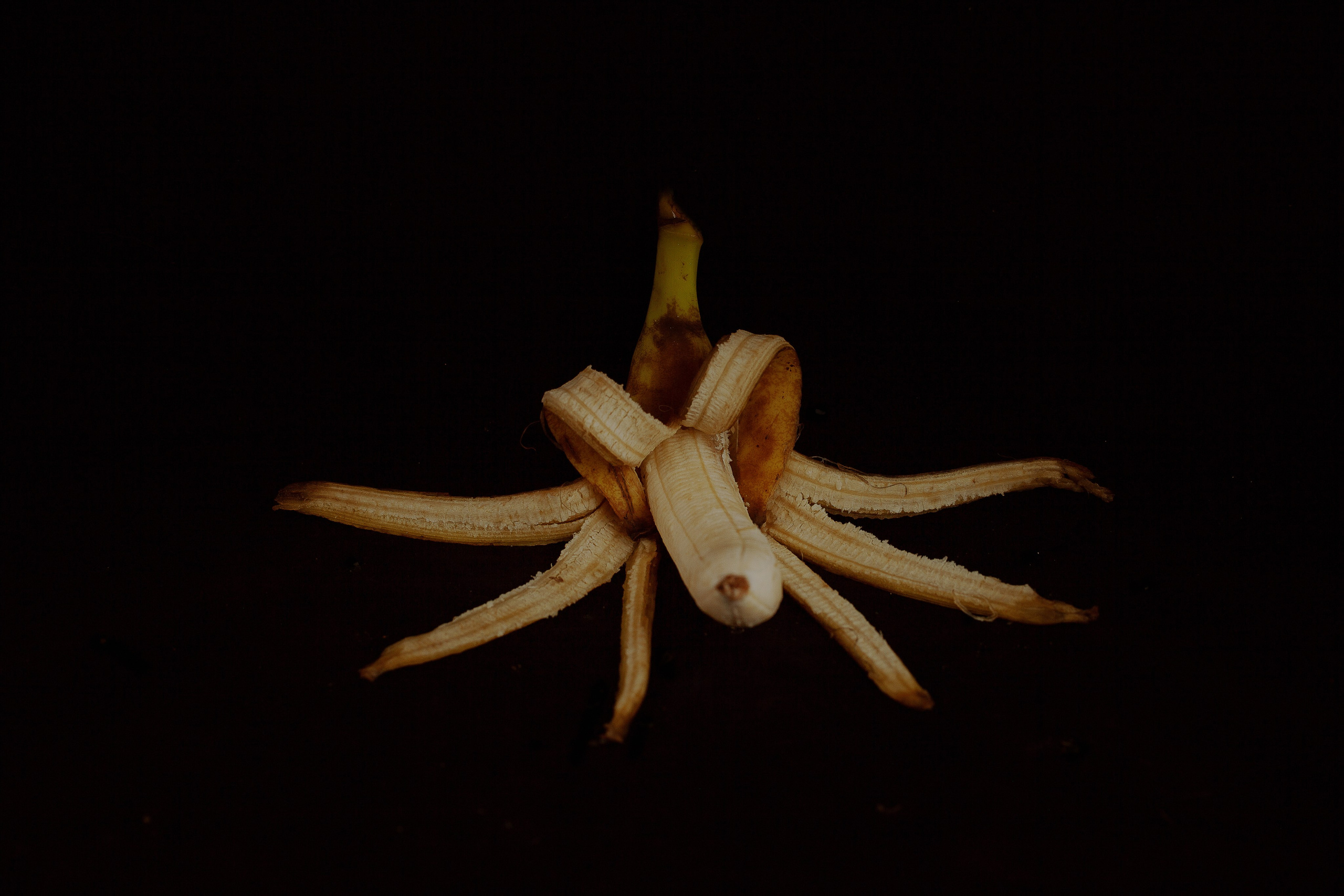 Бананы и тыквы в фотоискусстве. Медиапродюсер, фотограф в Минеральных Водах —Виктор Холодов