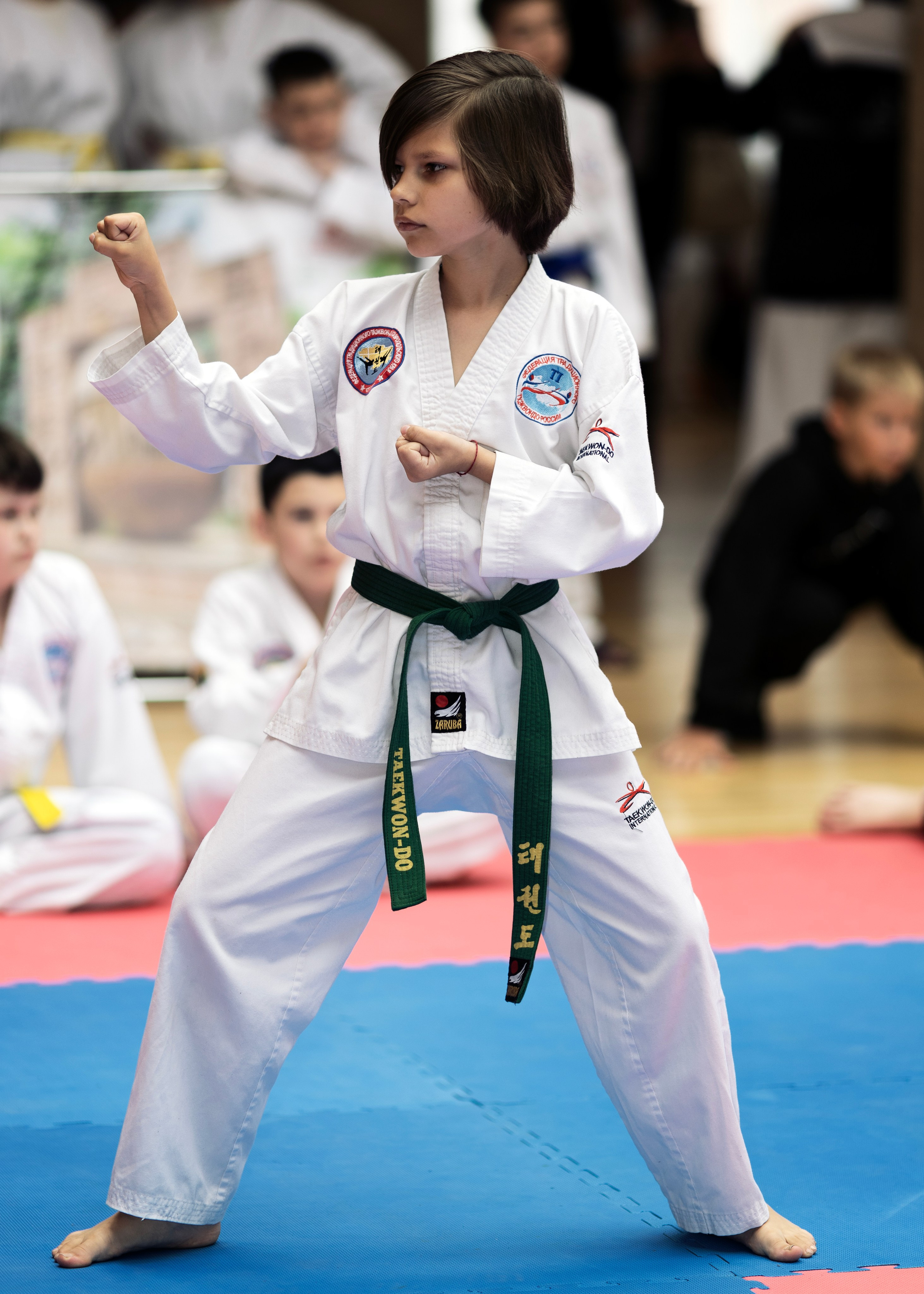 Фото турнира по Тхеквондо, проводимого в г. Железноводске. Медиапродюсер, фотограф в Минеральных Водах —Виктор Холодов
