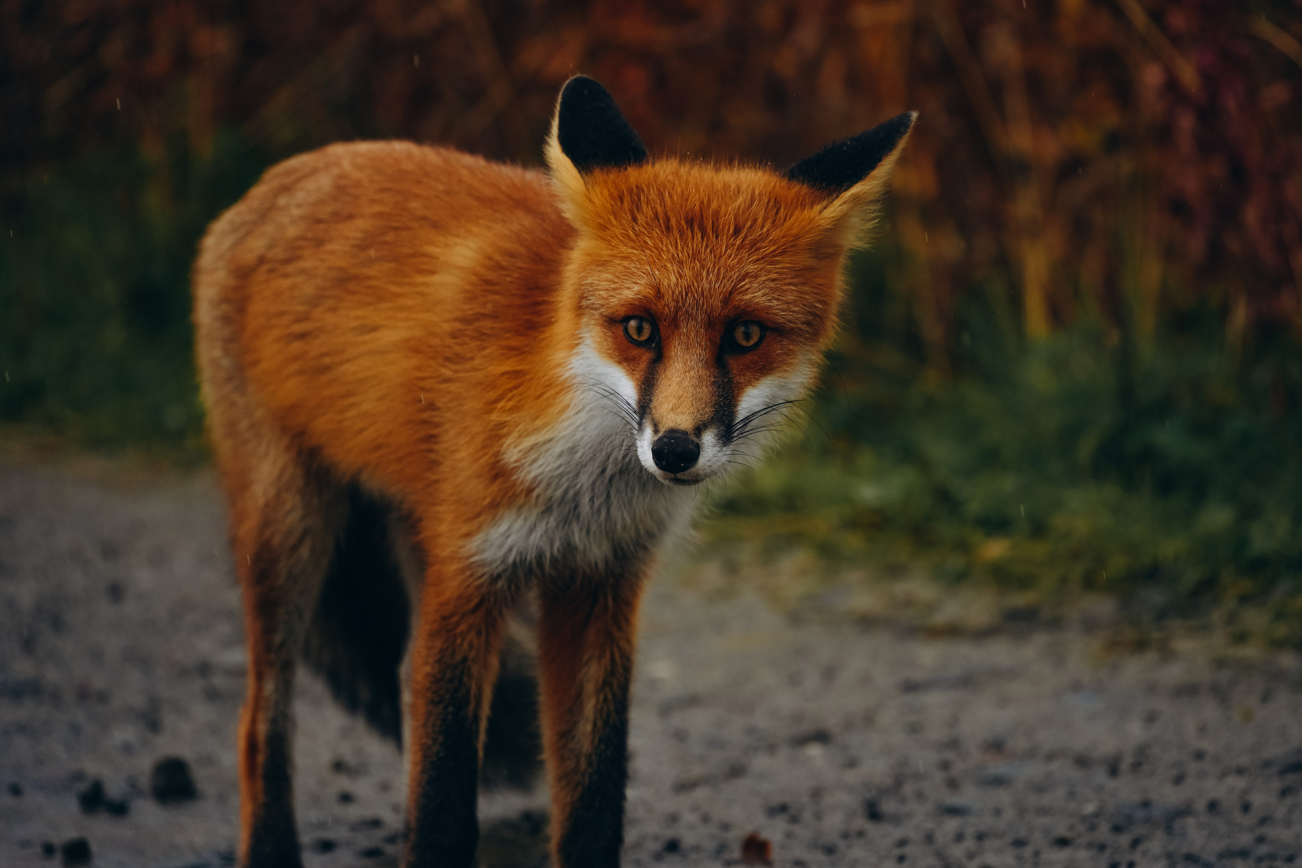 СЕВЕР. Event фотограф Степанова Александра