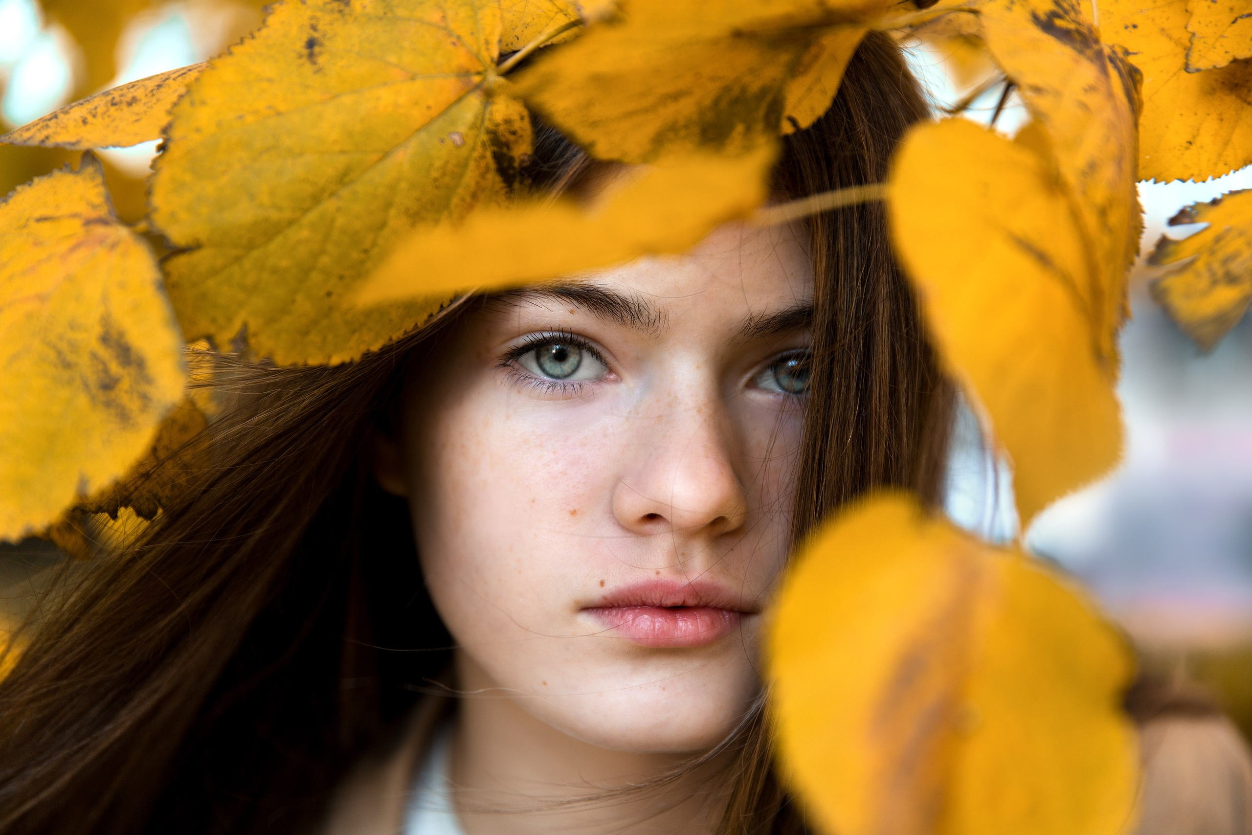 Фотосъемка семейной прогулки золотой осенью. Свадебный и портретный фотограф в Санкт-Петербурге Надежда Чечулина