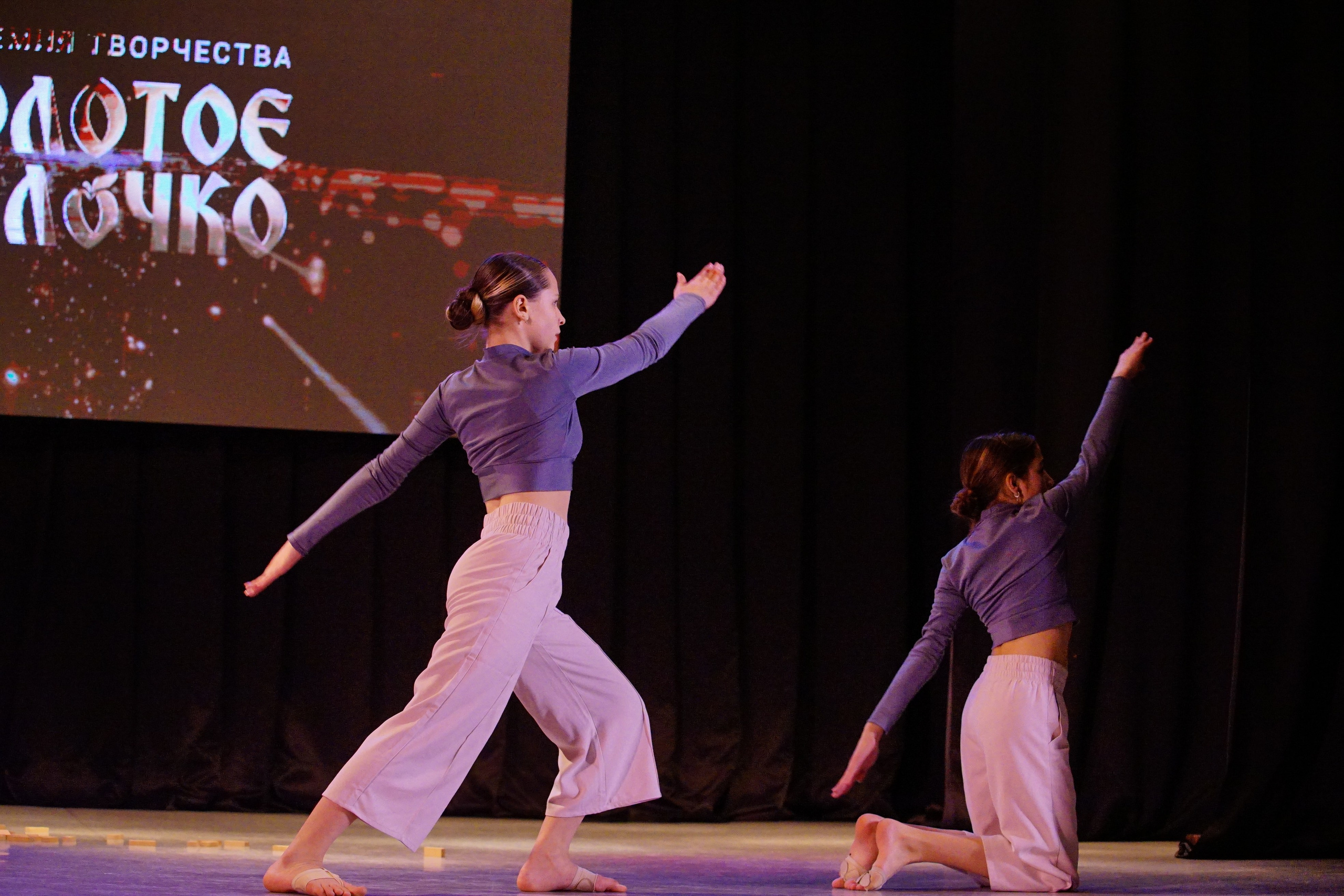 17 ноября, г. Новосибирск. Золотое яблочко