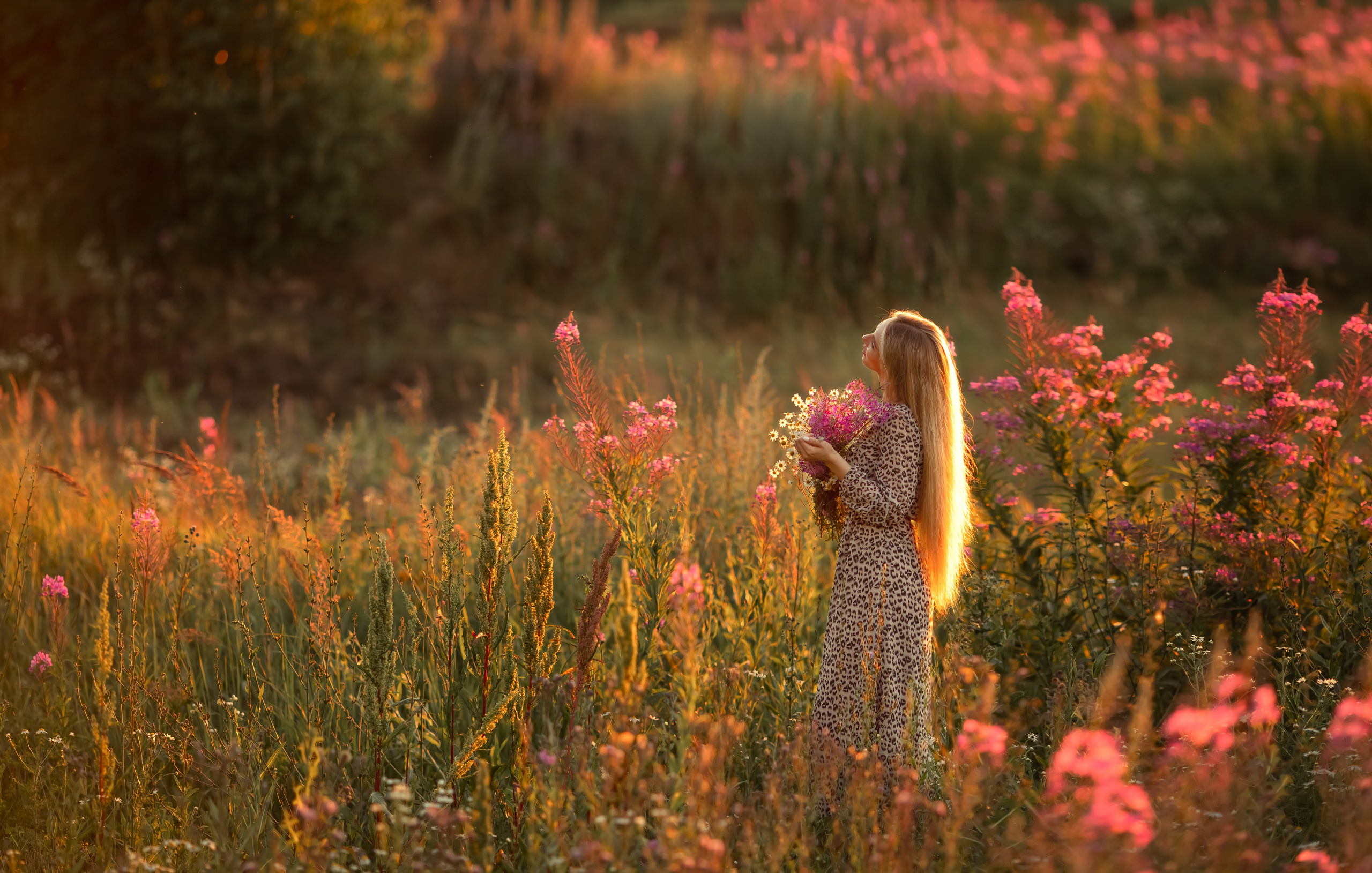Все цветы для Дарьи на закате. Ольга Смирнова юрист, фотограф