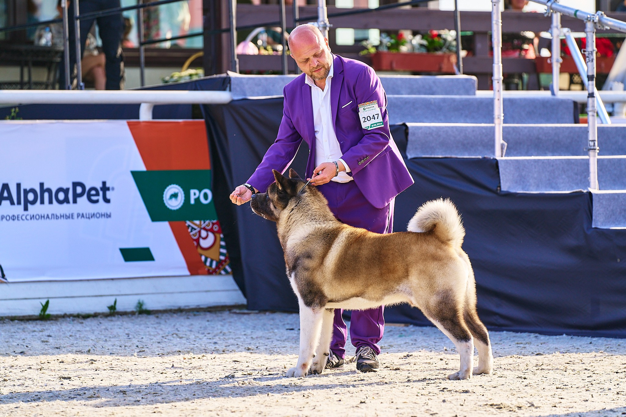 08.06.2024 «РОССИЯ. КУБОК РКФ 2024»