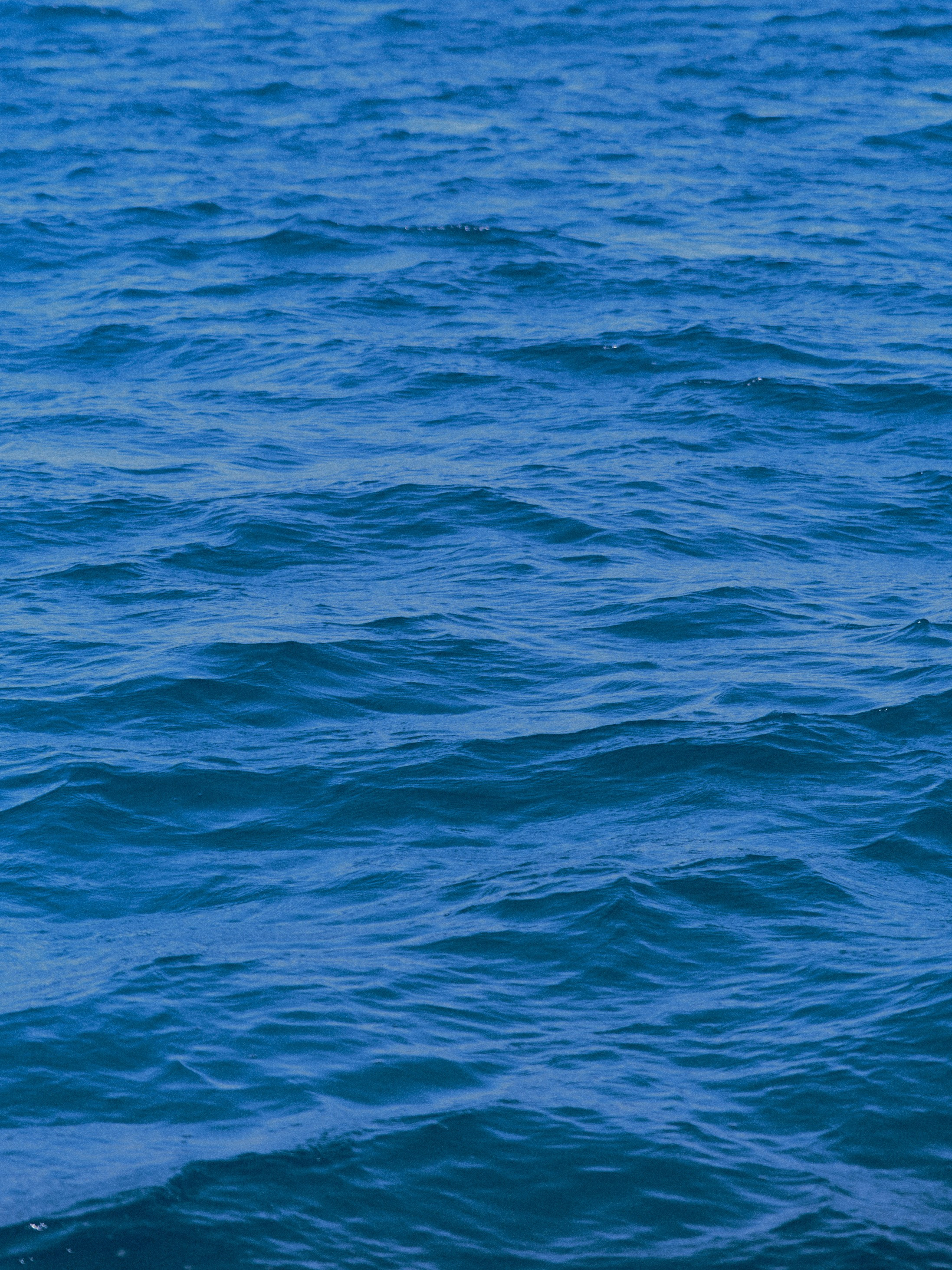 Природа. Jorgis Talè — photographer, kind person, teacher of arts and other mag