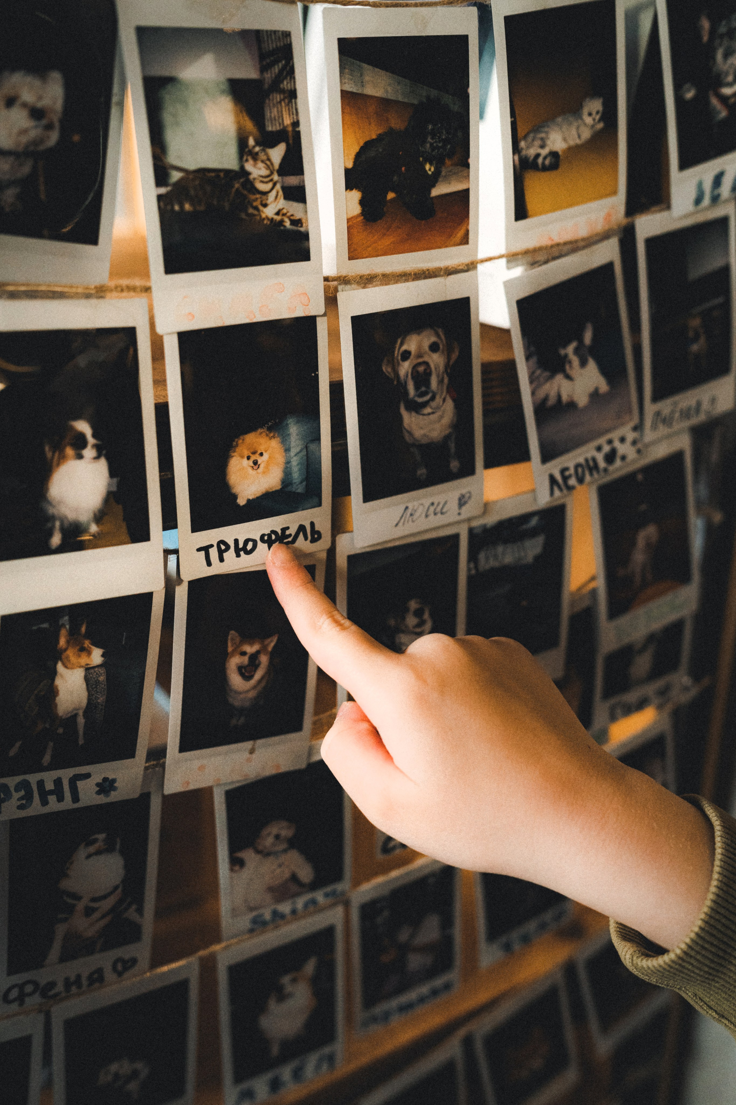 Фотограф Илья К. в Москве