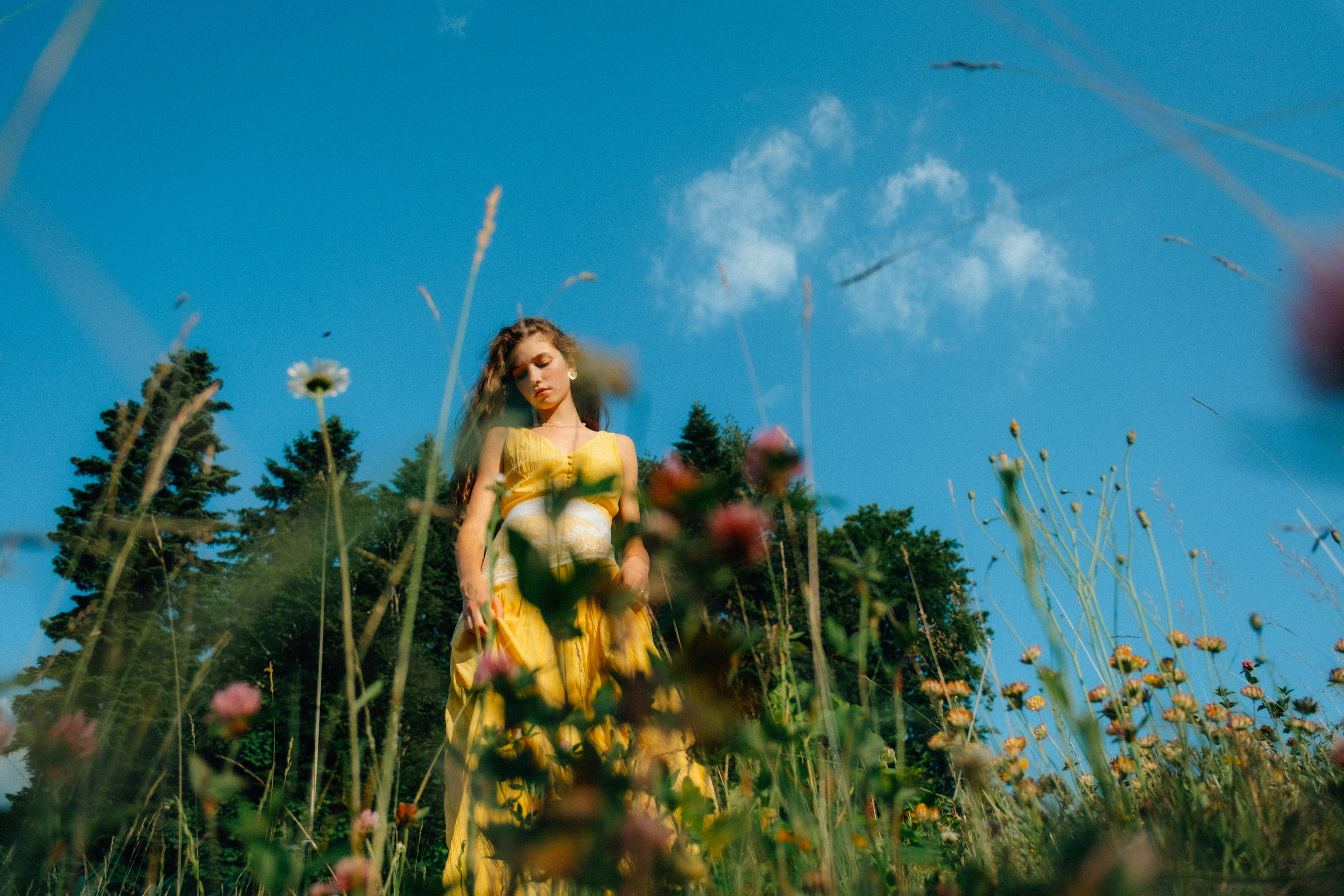 Ромашковые вершины. Репортажный фотограф в Сочи Екатерина Вежливцева