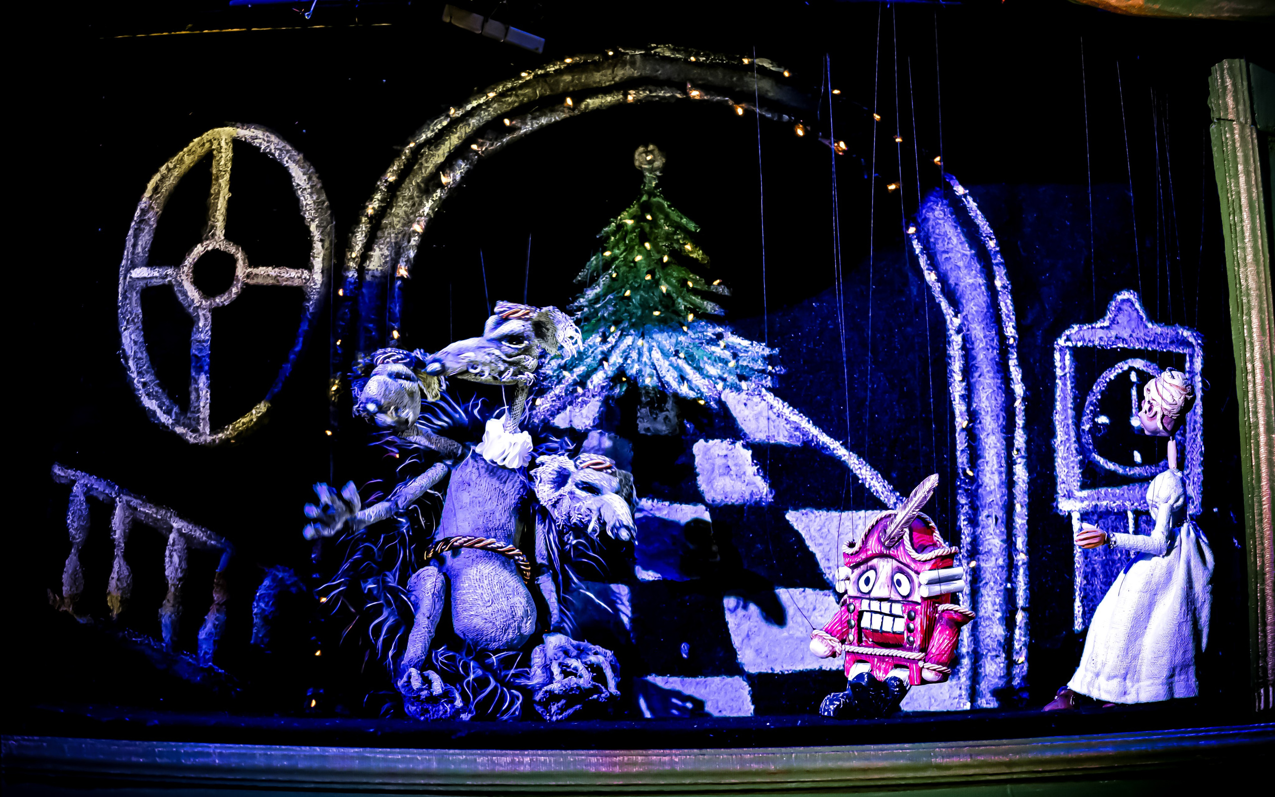 Щелкунчик и мышынный король. Фотограф в Сочи Юрий Шептаев