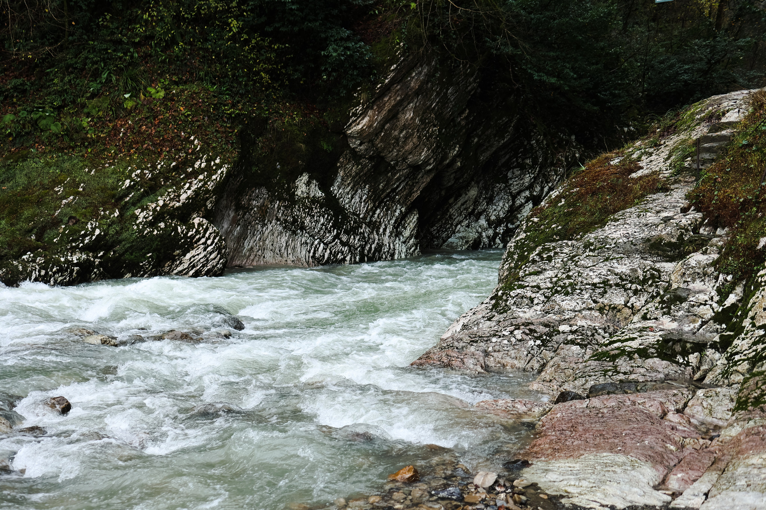 Сочи в декабре. Портретный фотограф в Санкт-Петербурге